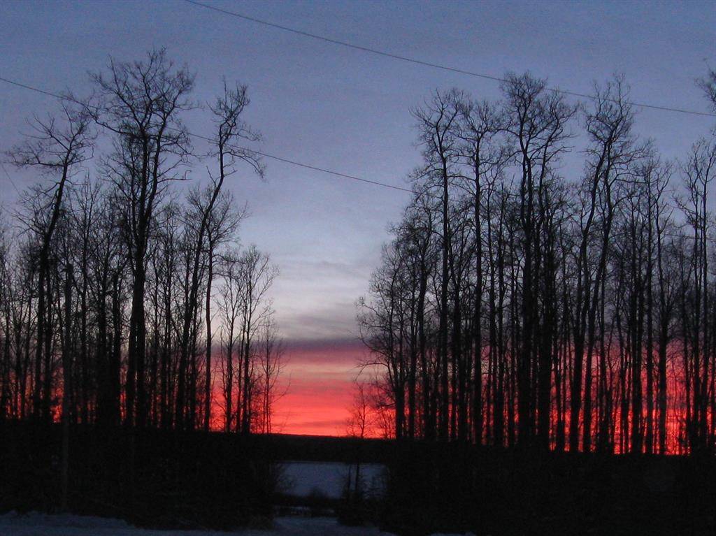 Buck Lake, AB T0C 0T0,23 Silversprings