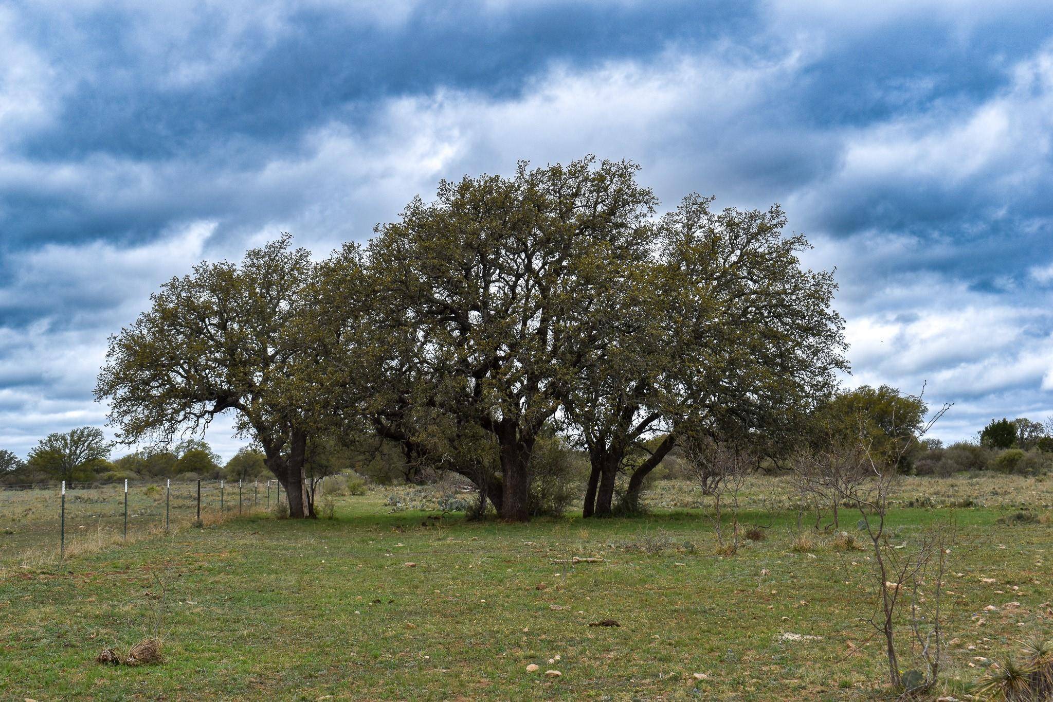 Brady, TX 76825,3458 CR 208