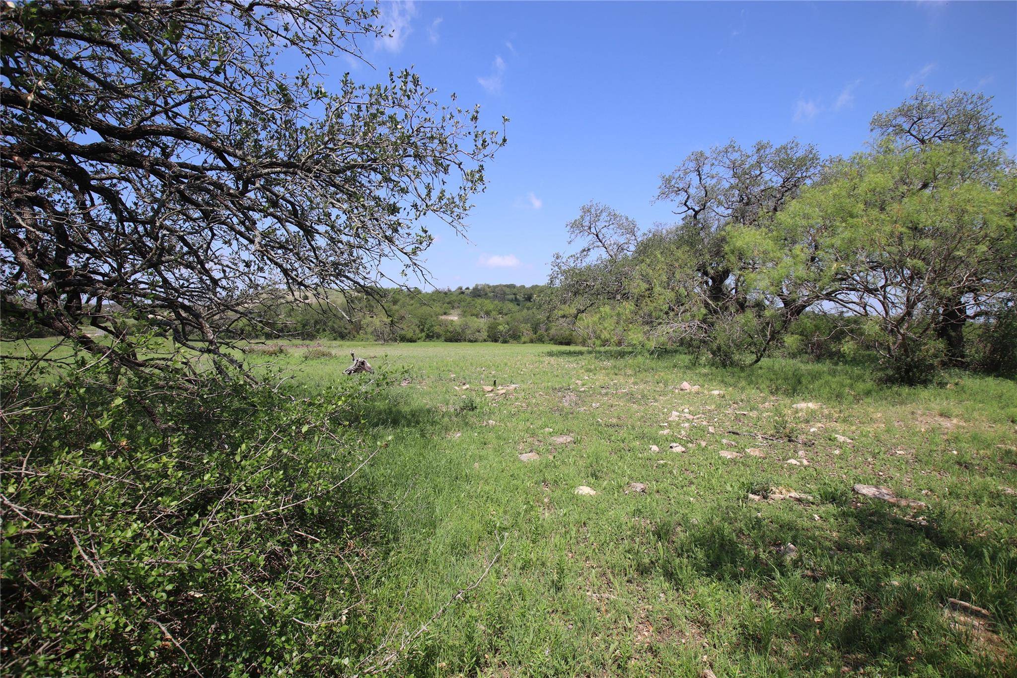 Pottsville, TX 76565,TBD FM 221 - Tract 1