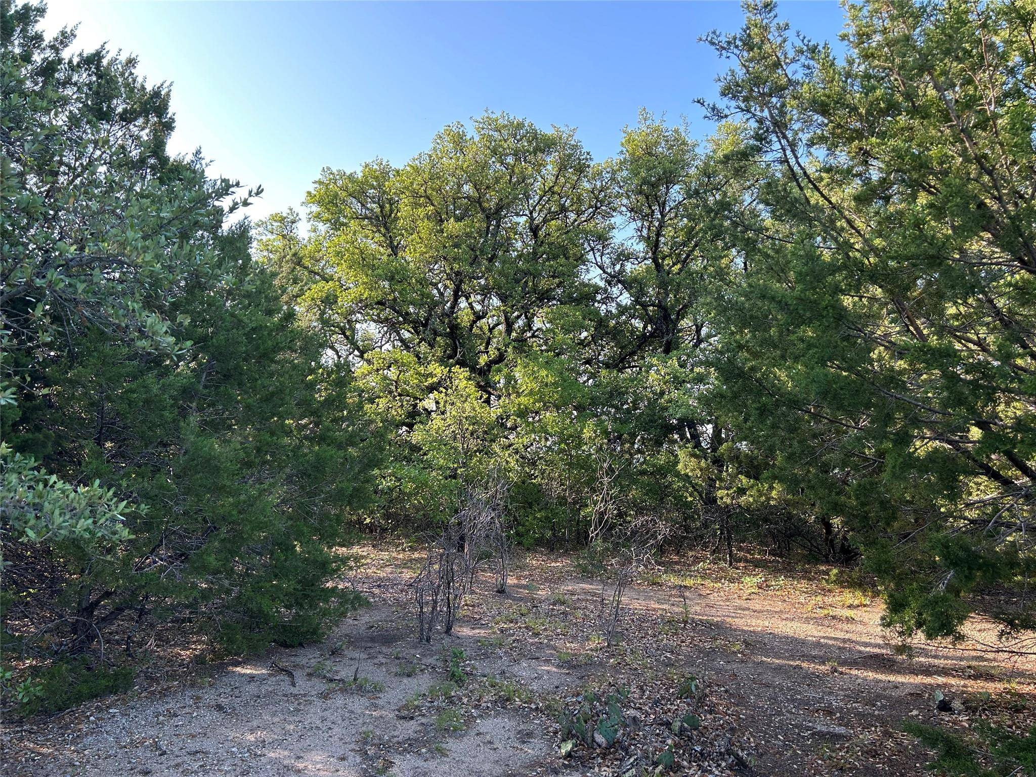 Azle, TX 76020,TBD Skyview Lane