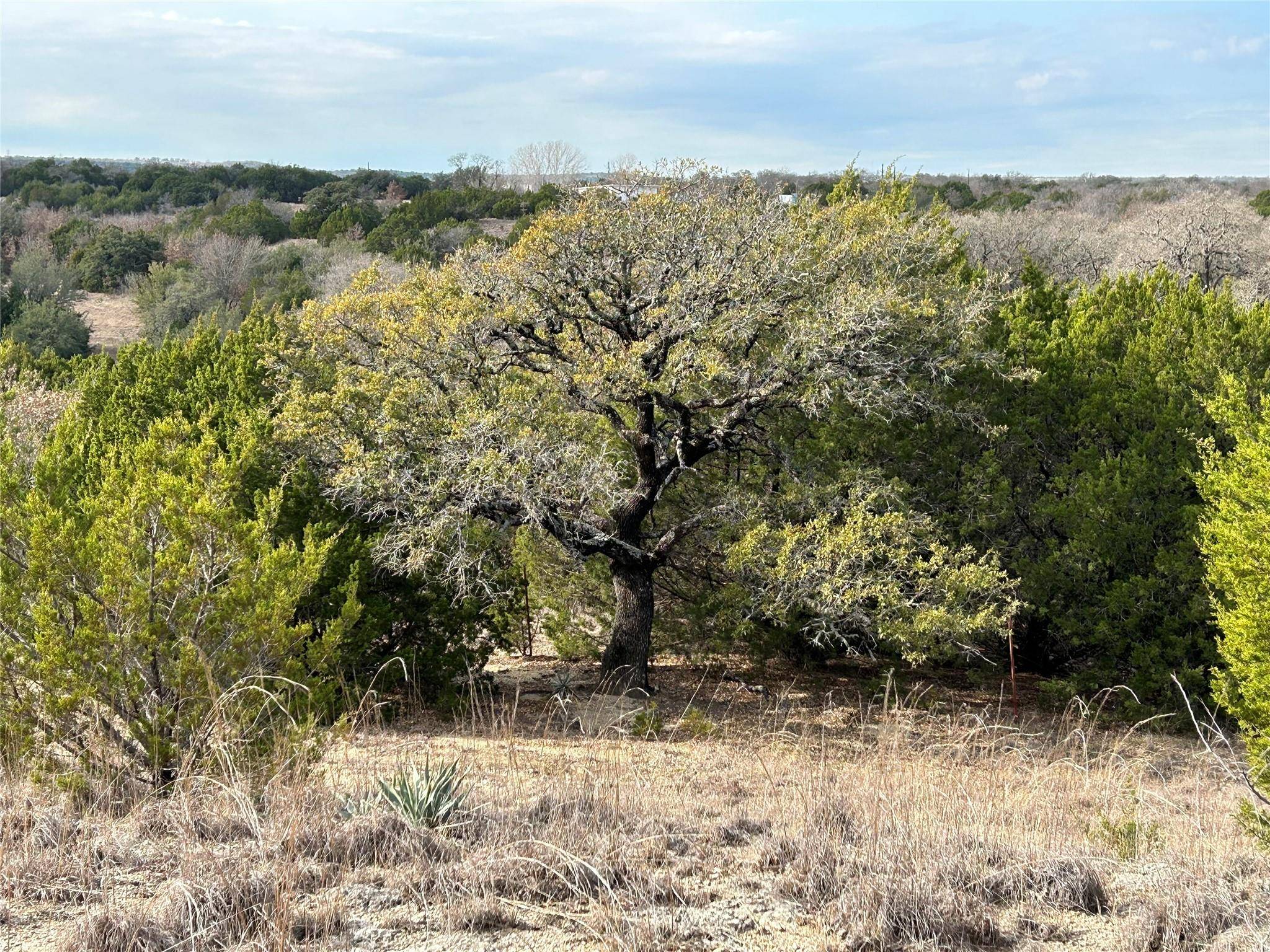 Azle, TX 76020,TBD Skyview Lane