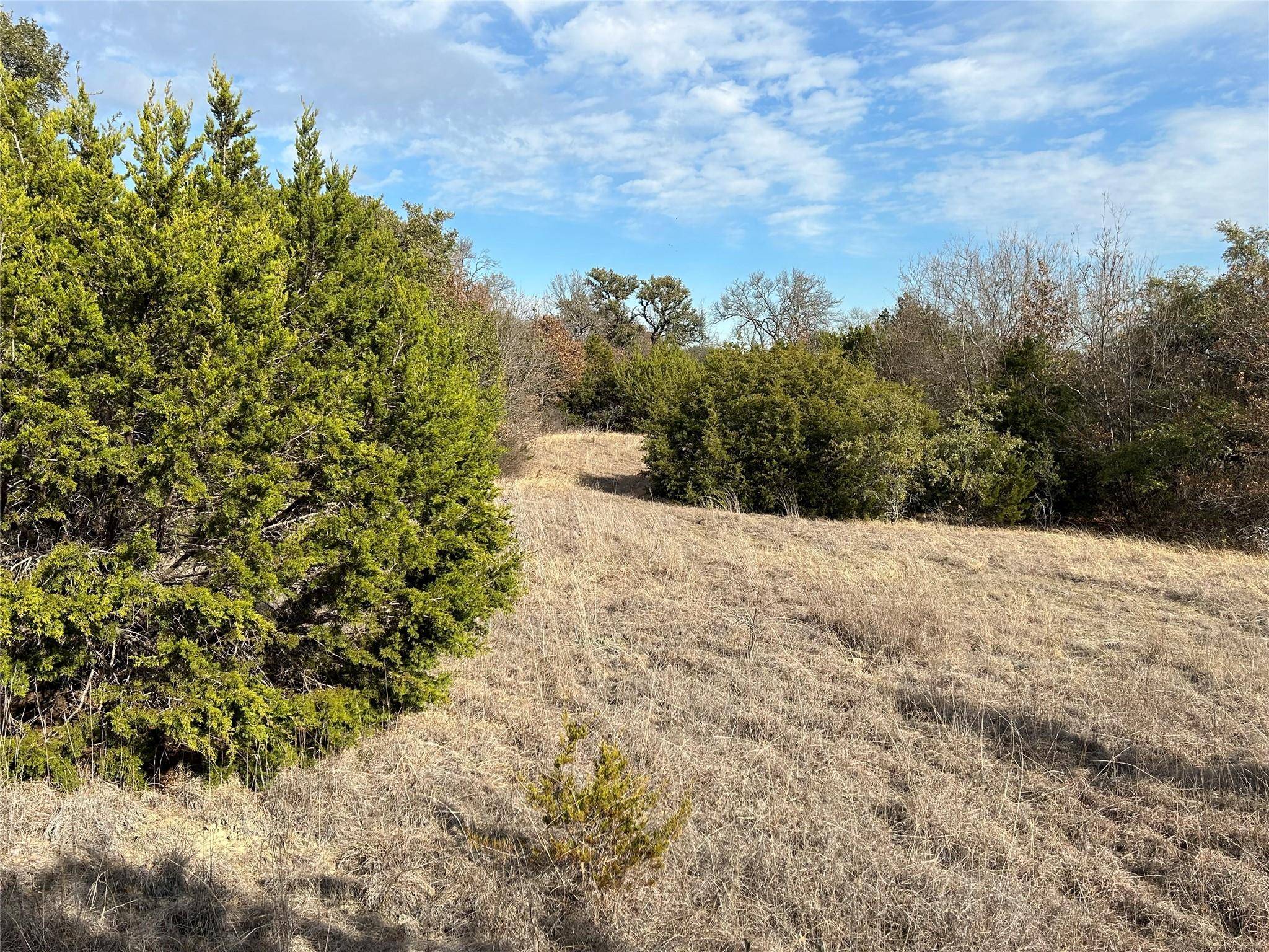 Azle, TX 76020,TBD Skyview Lane