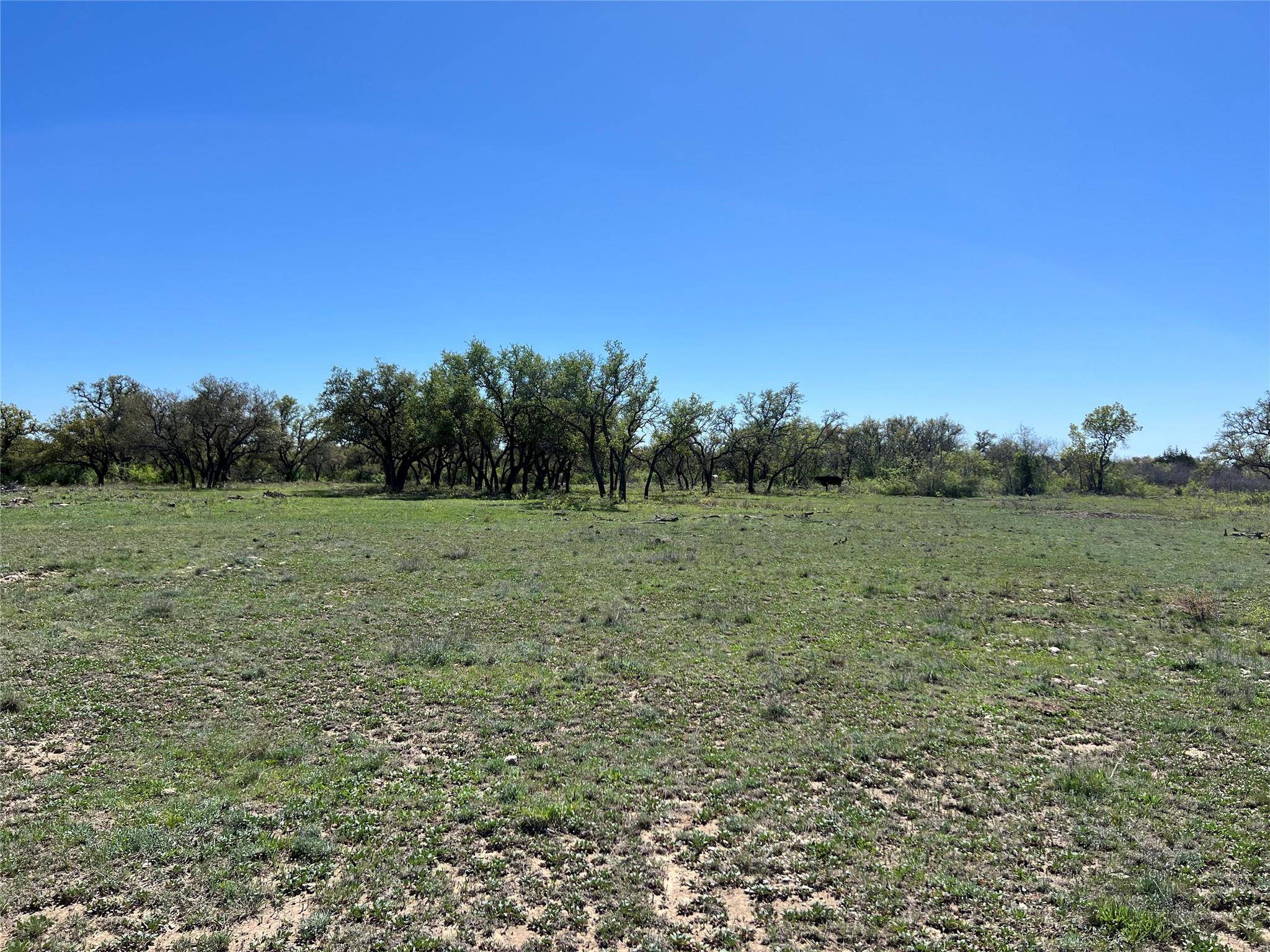 Energy, TX 76452,Lot 39 Pecan Valley DR