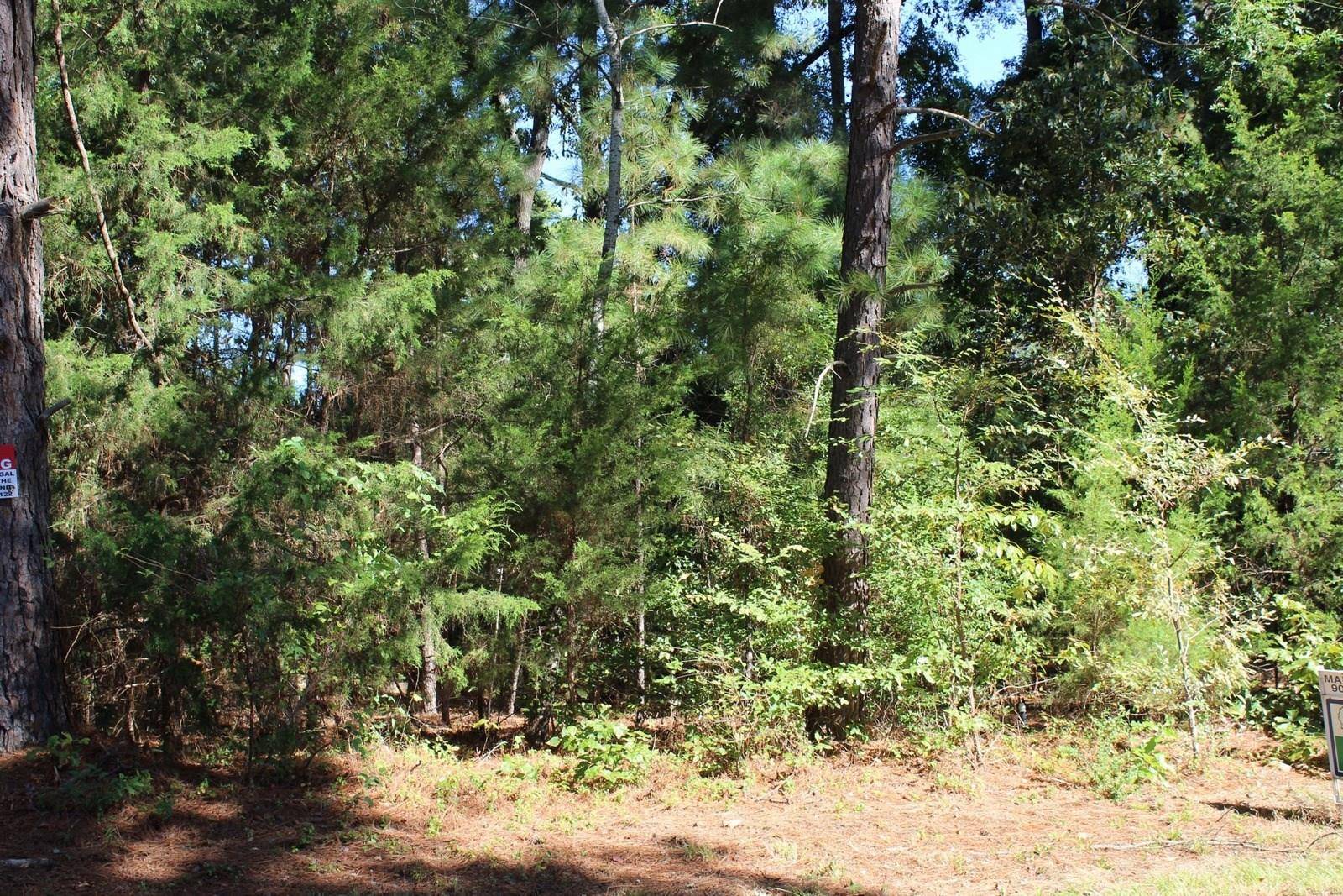 Quitman, TX 75783,Lot 554 County Road 2150