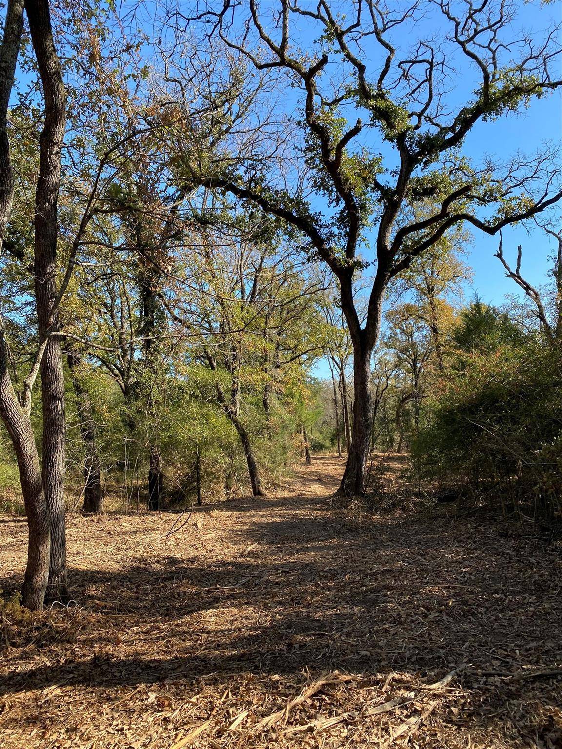 Buffalo, TX 75831,TBD HWY 75