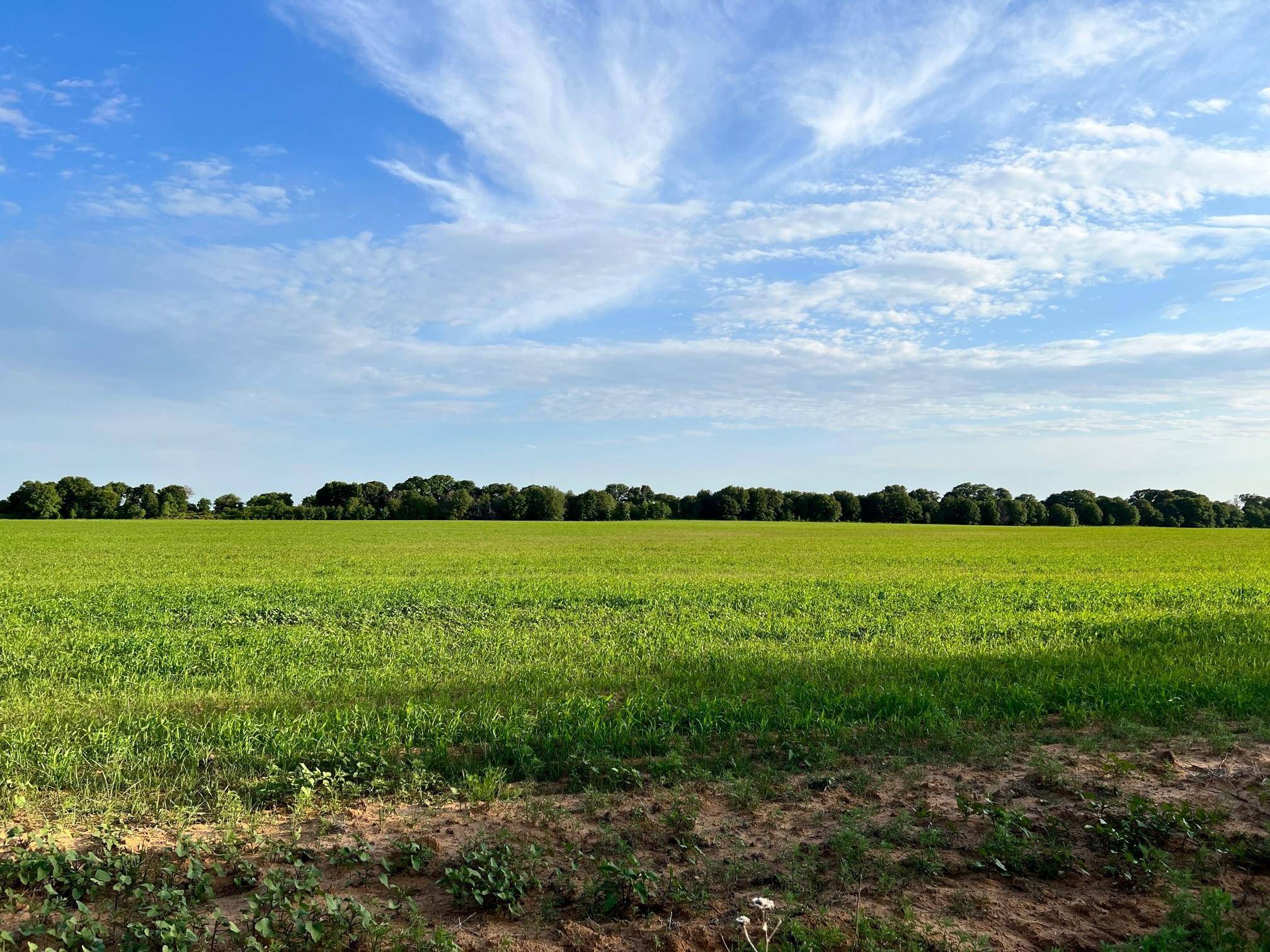 De Leon, TX 76444,TBD CR 461