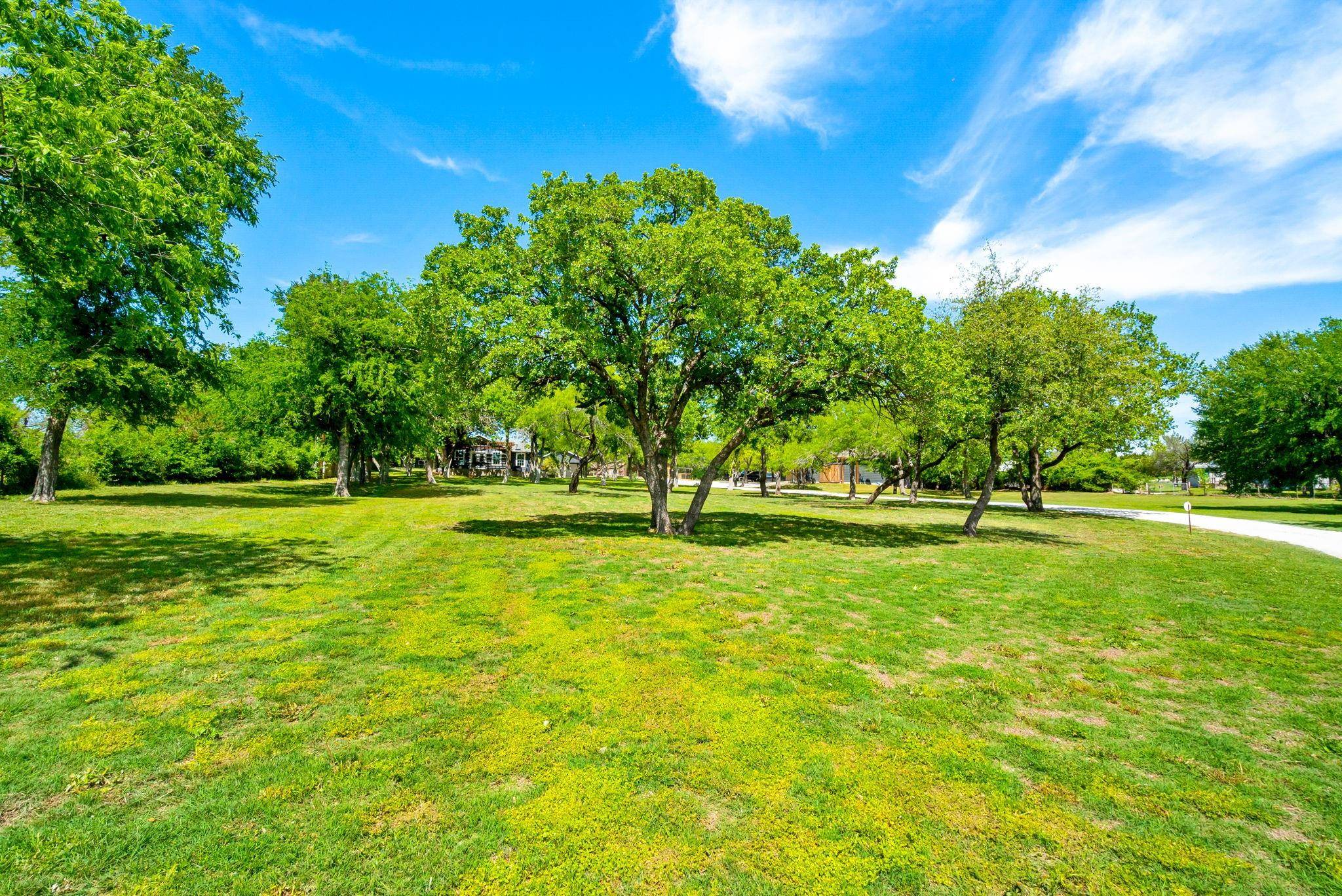 Weatherford, TX 76087,350 Timber Wild Drive