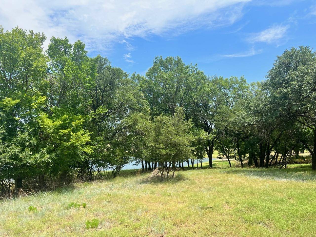 Weatherford, TX 76088,Lot 25 Goldfinch Lane