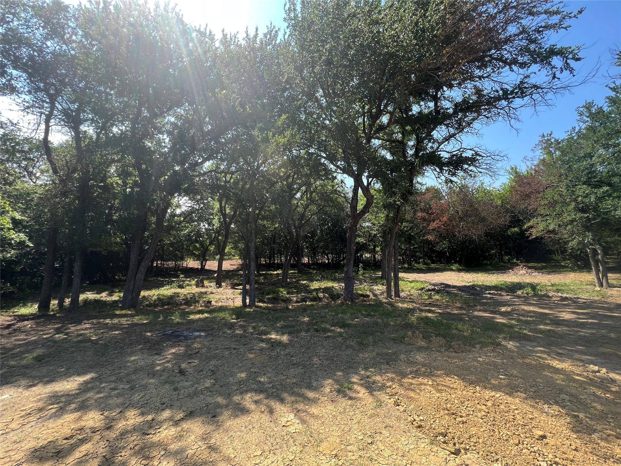 Savoy, TX 75479,585 CR 1285