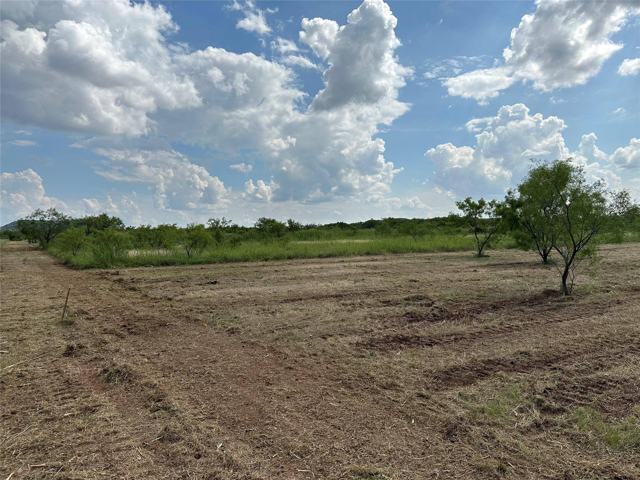 Tuscola, TX 79562,T-1 10.61 AC CR 134