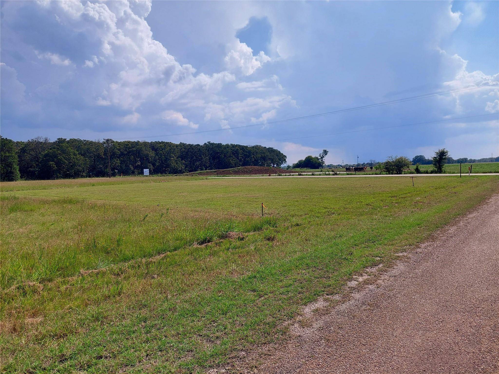 Trinidad, TX 75163,Lot 2 Water Oak Road