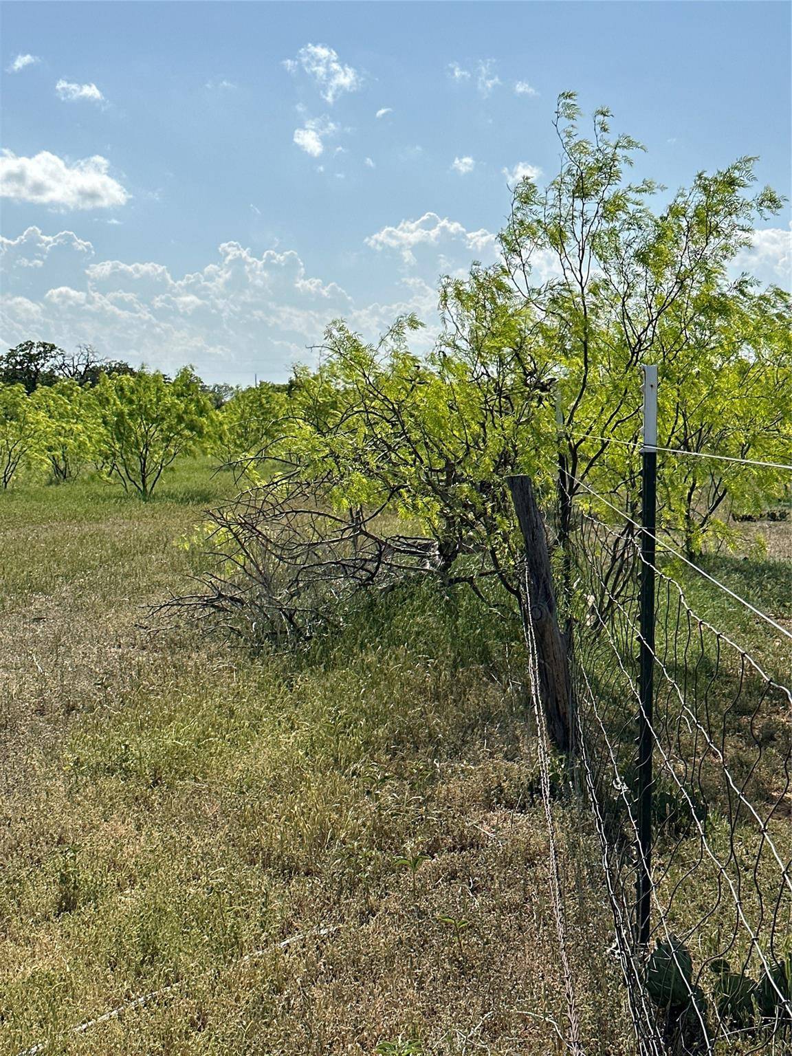 Cisco, TX 76437,TBD Hwy 206