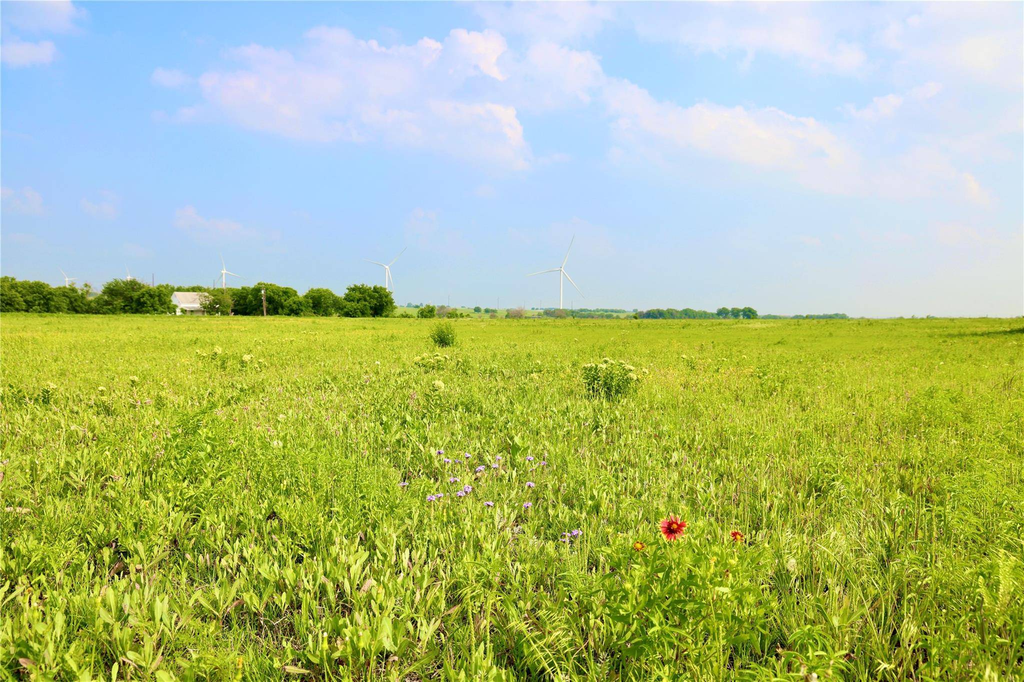 Gainesville, TX 76240,10.01 Acres County Rd 318