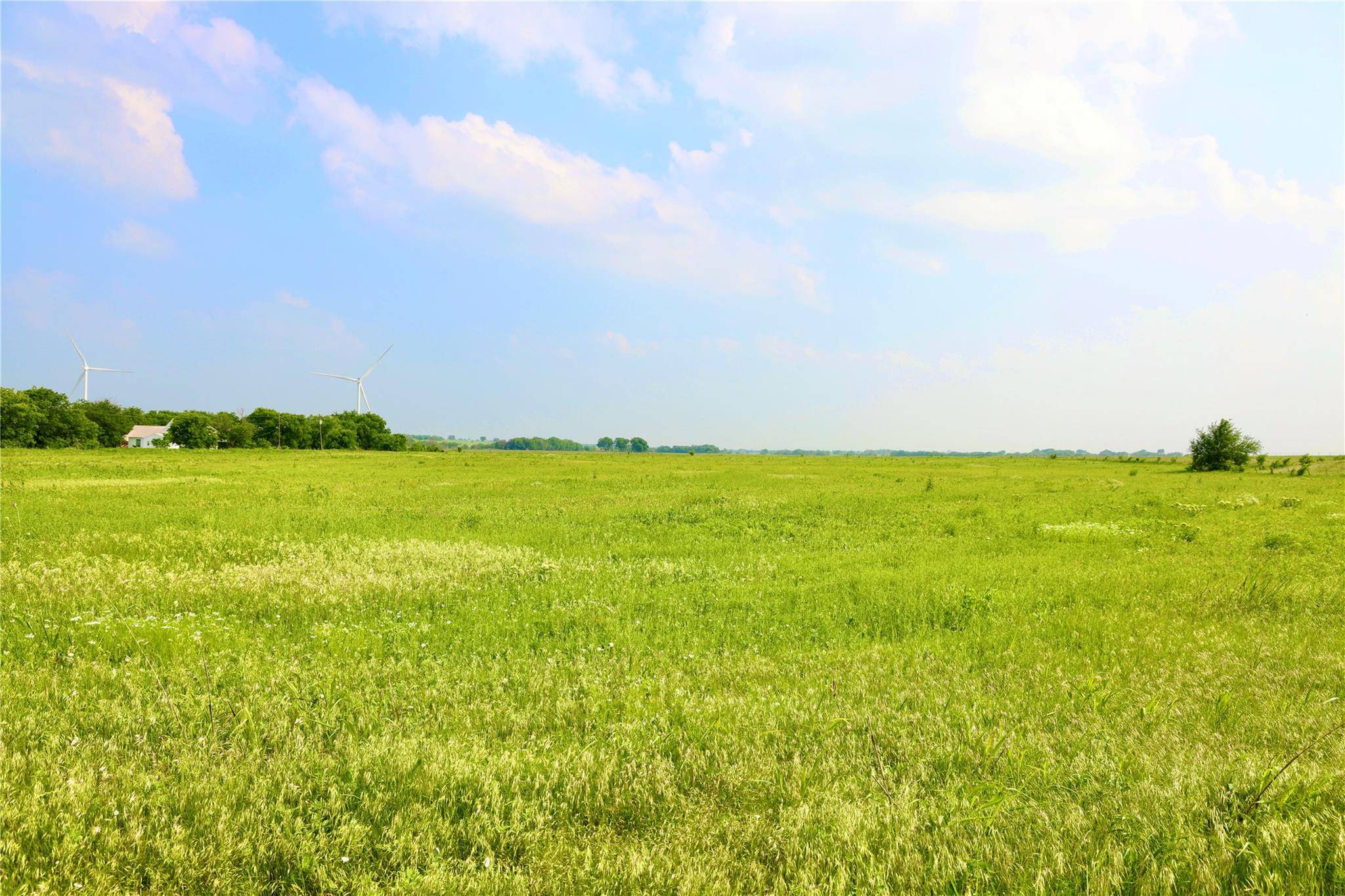 Gainesville, TX 76240,10.01 Acres County Rd 318