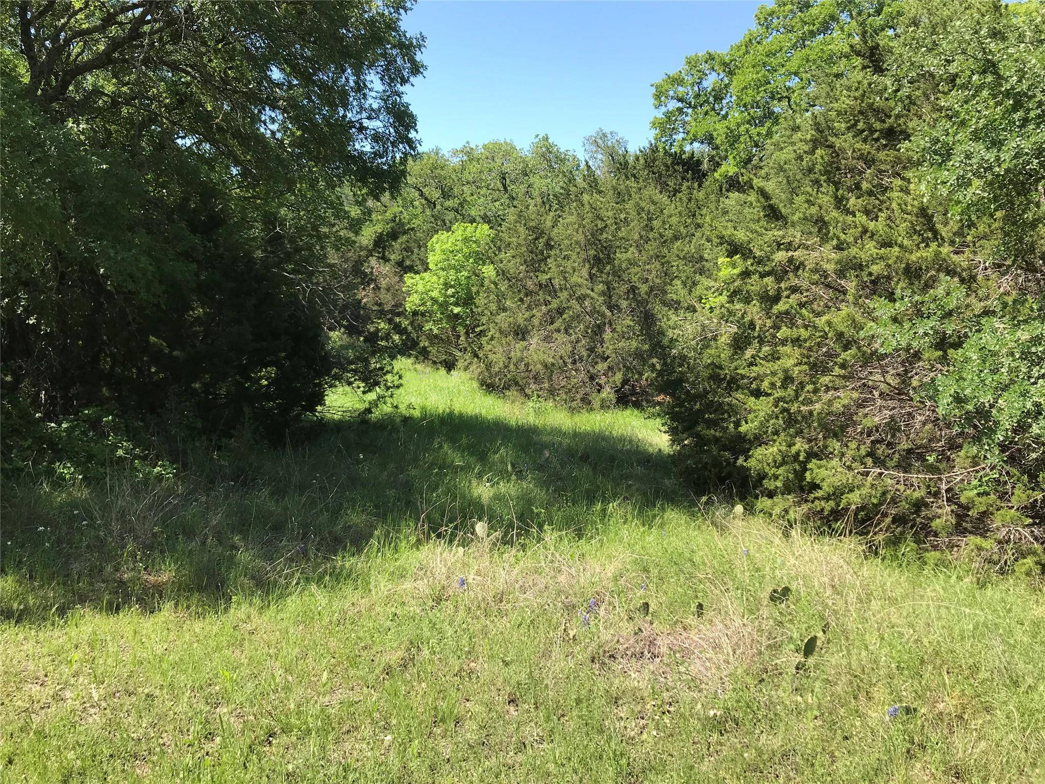 Whitney, TX 76692,1344 Sandrock Trail