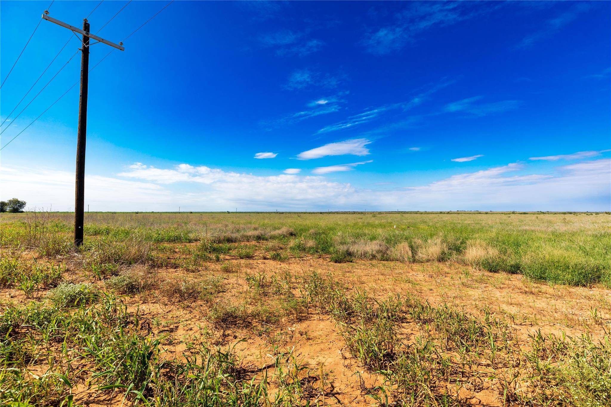 Anson, TX 79501,7 CR 443