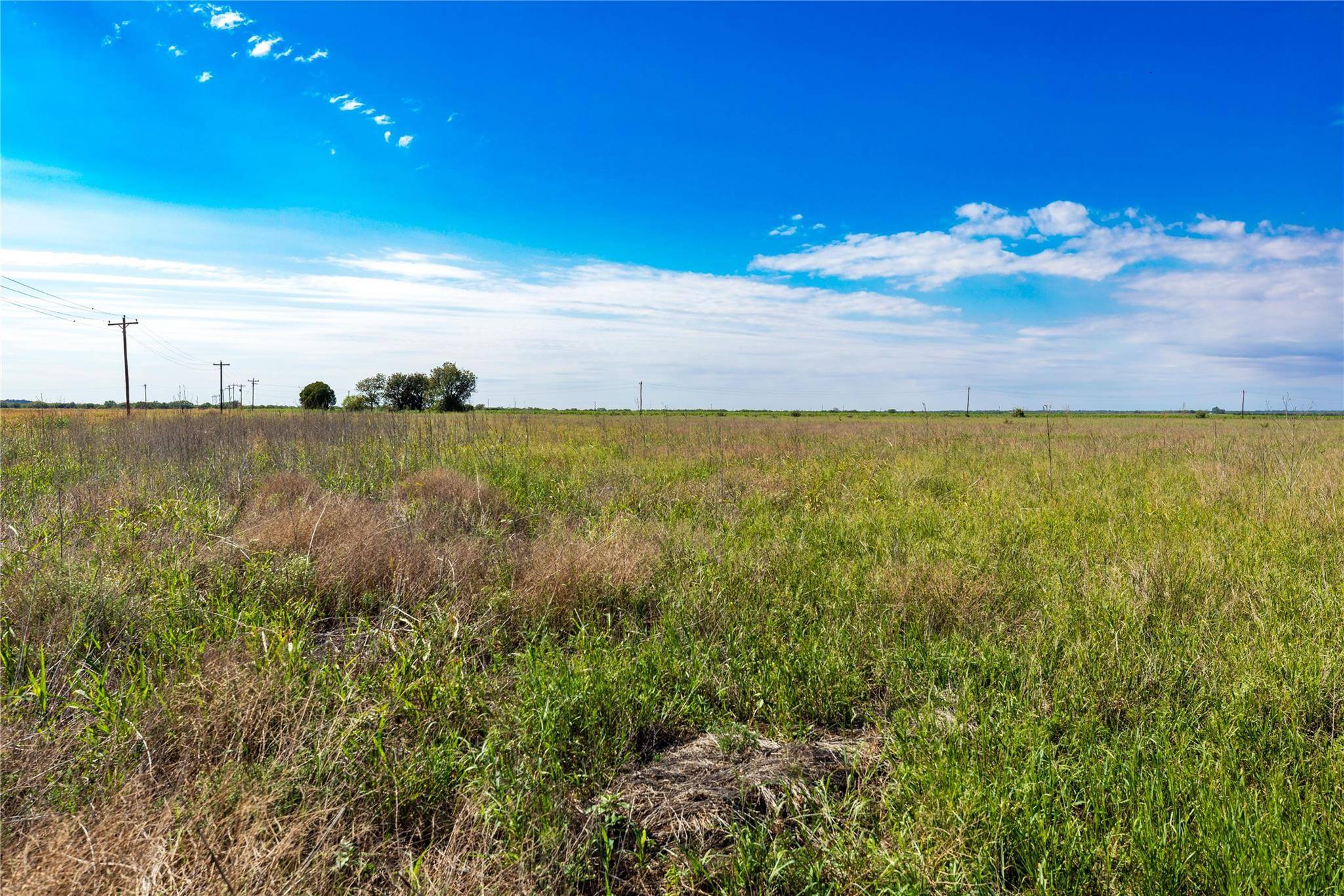 Anson, TX 79501,7 CR 443