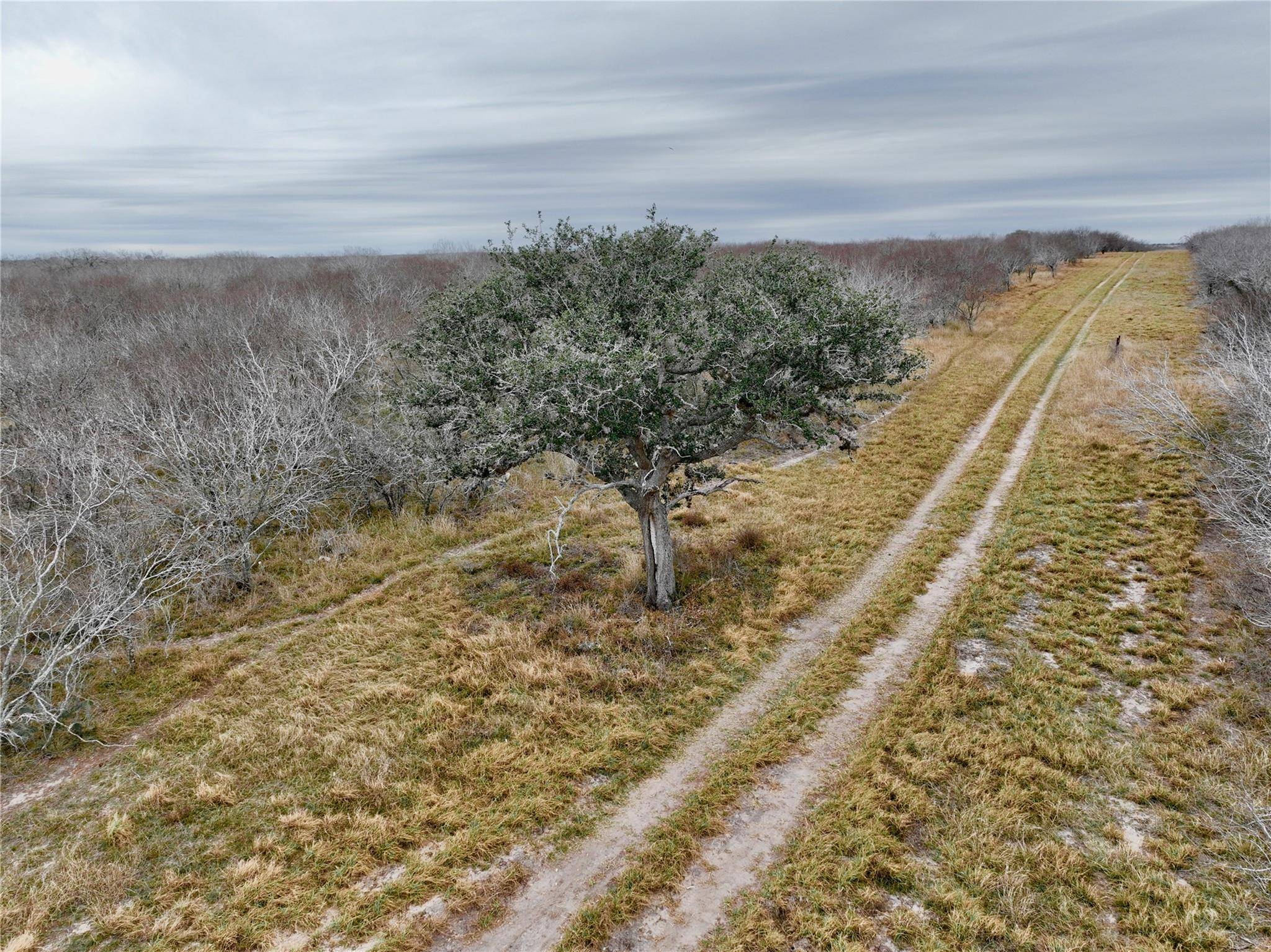 George West, TX 78022,63+/- Acres County Road 325