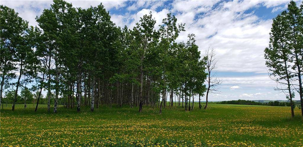 Rural Mountain View County, AB T0M 0R0,30513 Range Road 51