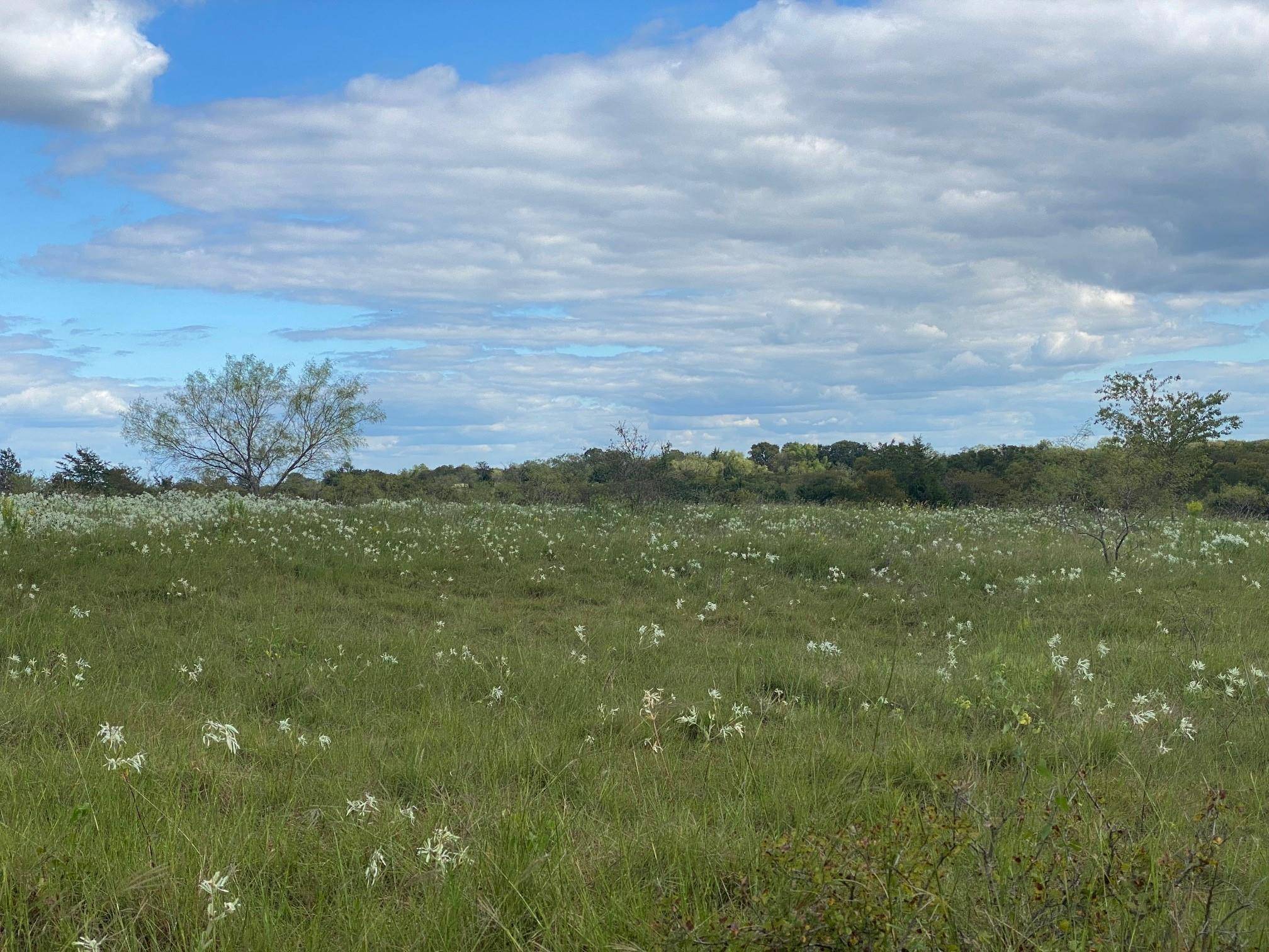 Dawson, TX 76639,TBD Hwy 31