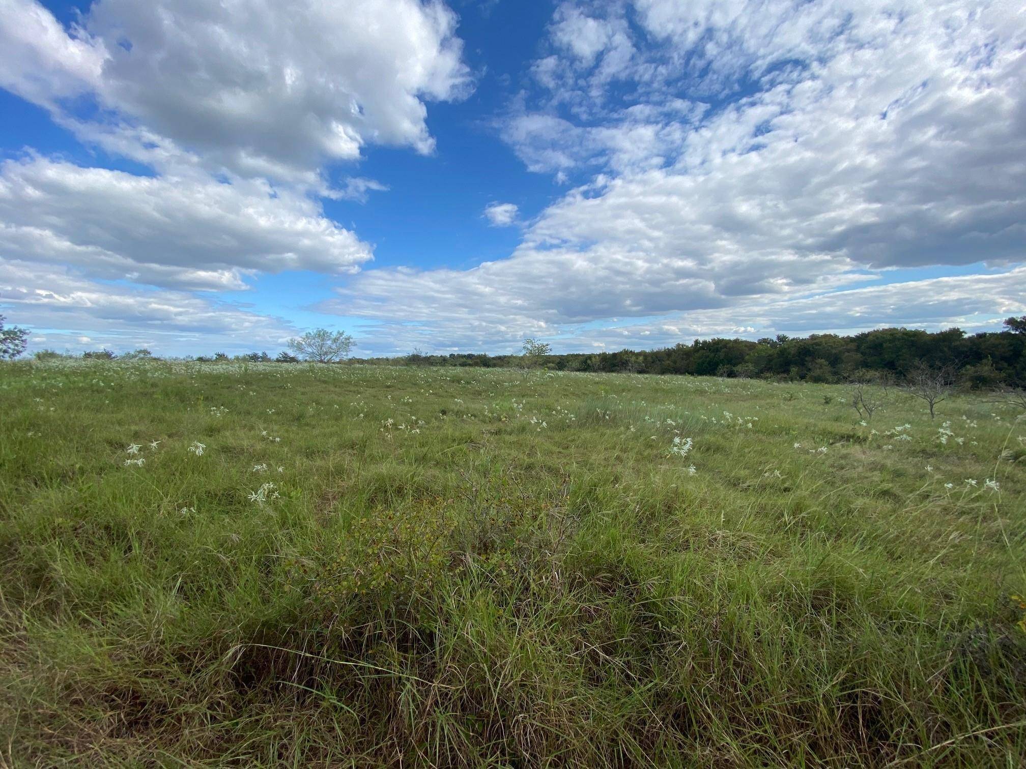 Dawson, TX 76639,TBD Hwy 31