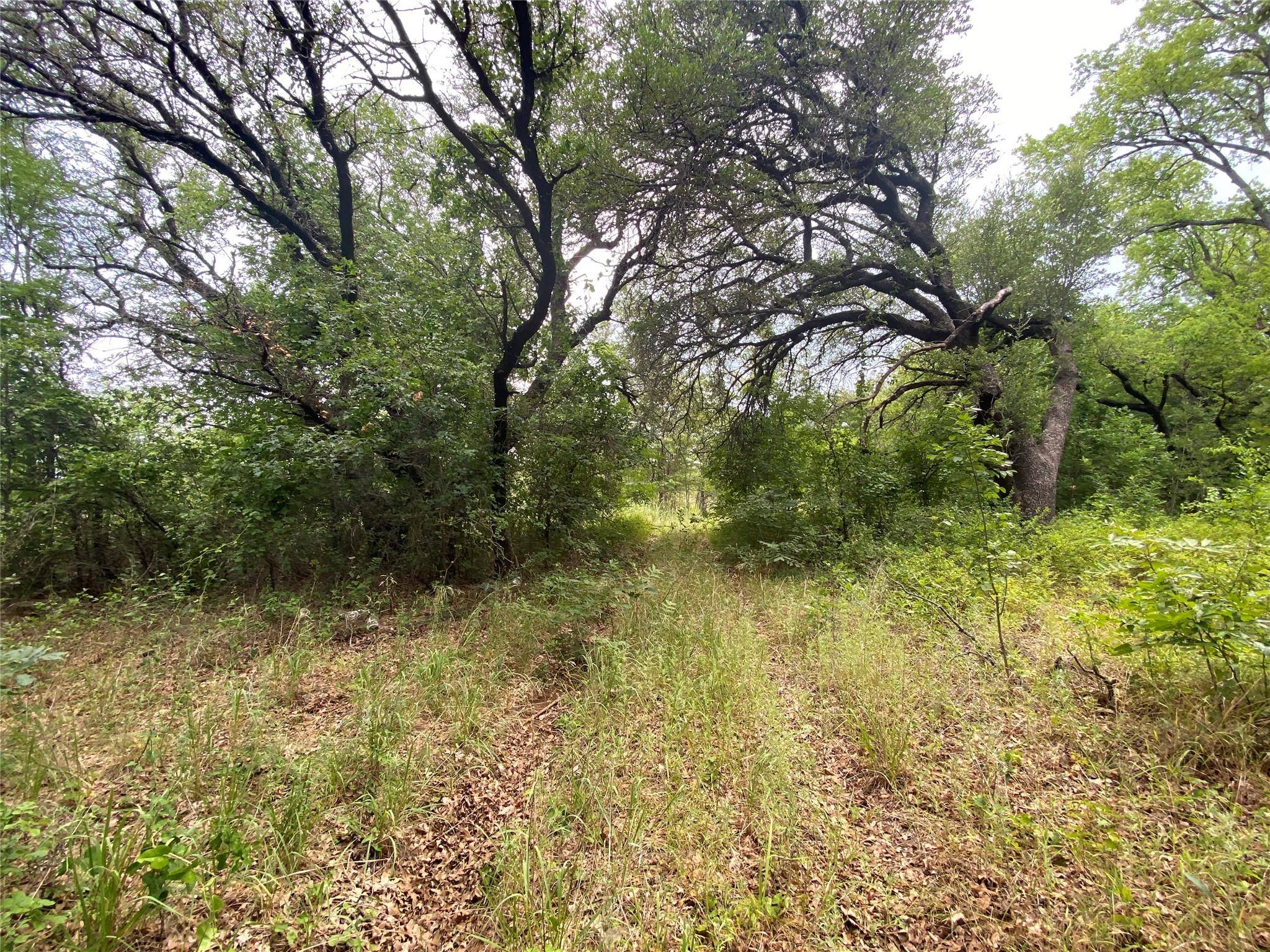 Jacksboro, TX 76458,000 Jim Ned Road