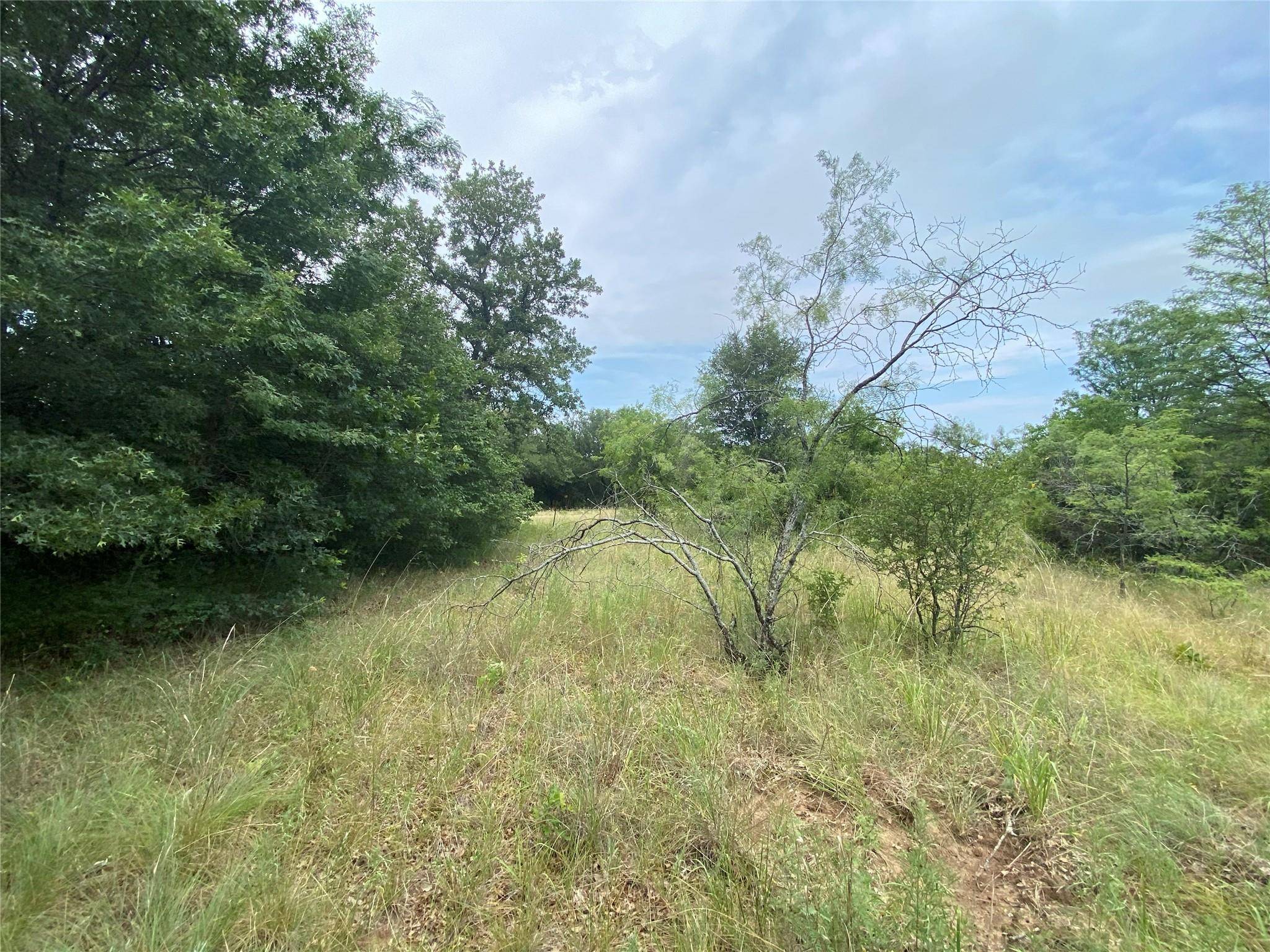 Jacksboro, TX 76458,000 Jim Ned Road