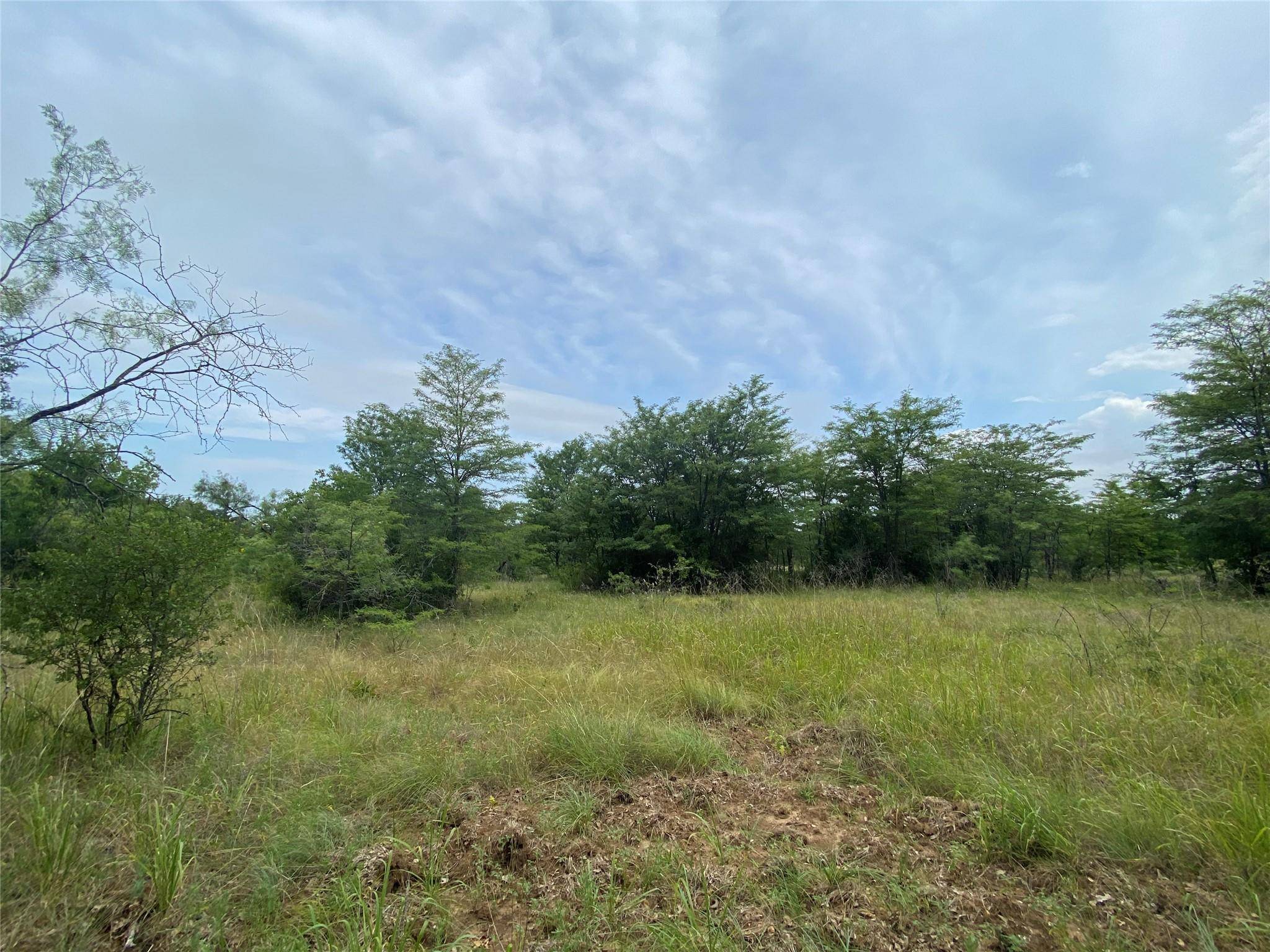 Jacksboro, TX 76458,000 Jim Ned Road