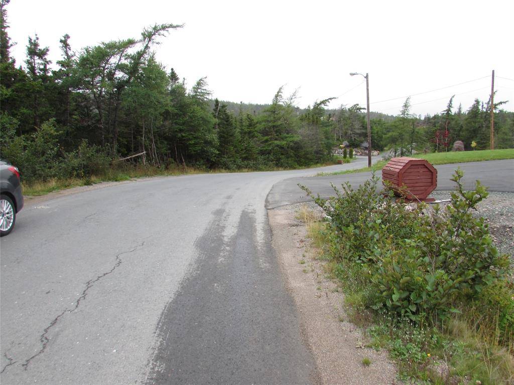 Holyrood, NL A0A 2R0,159 B Country Path