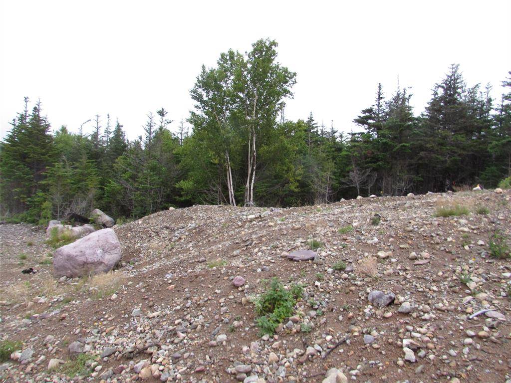 Holyrood, NL A0A 2R0,159 B Country Path