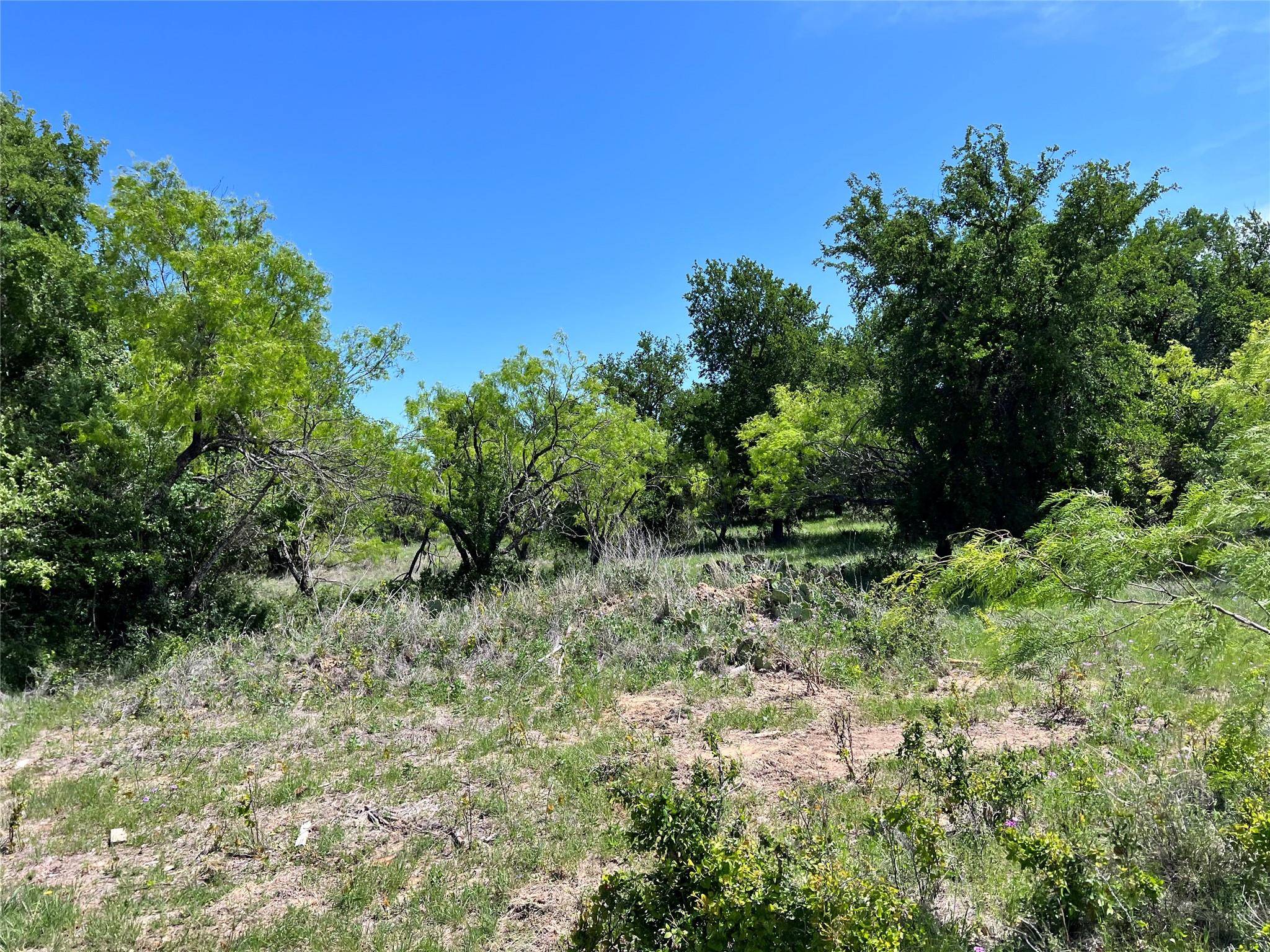 Brownwood, TX 76801,TBD Feather Bay Boulevard