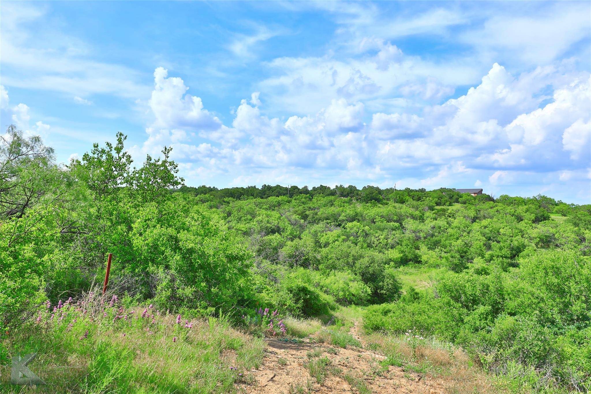 Baird, TX 79504,TBD PR 2830