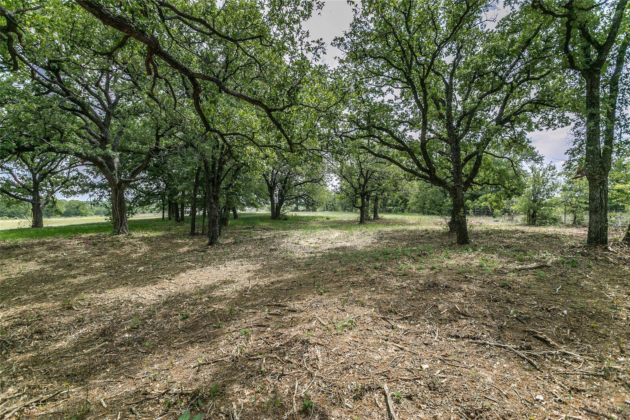 Boyd, TX 76023,TBD County Road 4599, Lot 6