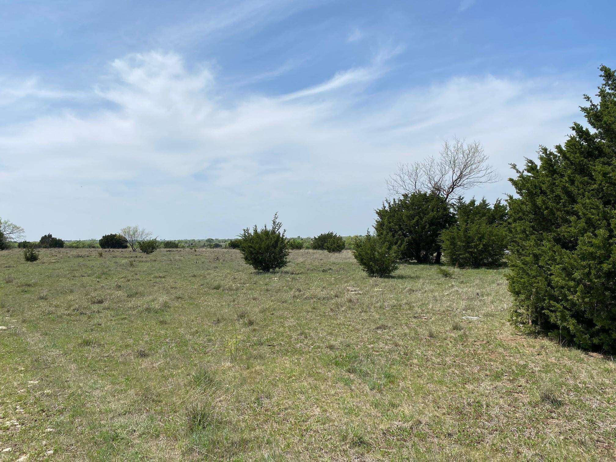 Hico, TX 76457,TBD County Road 206