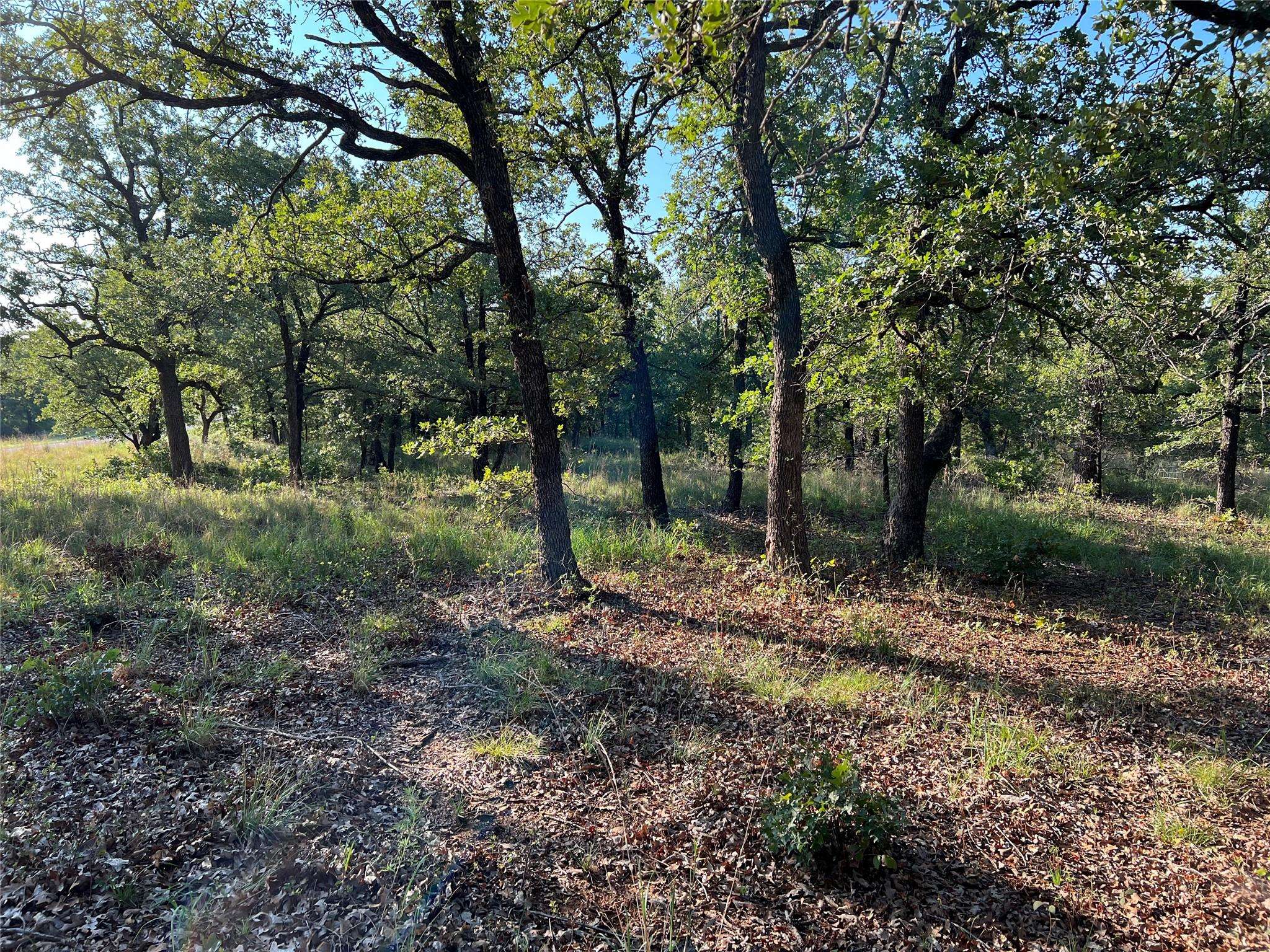 Nocona, TX 76255,361 Nocona Drive