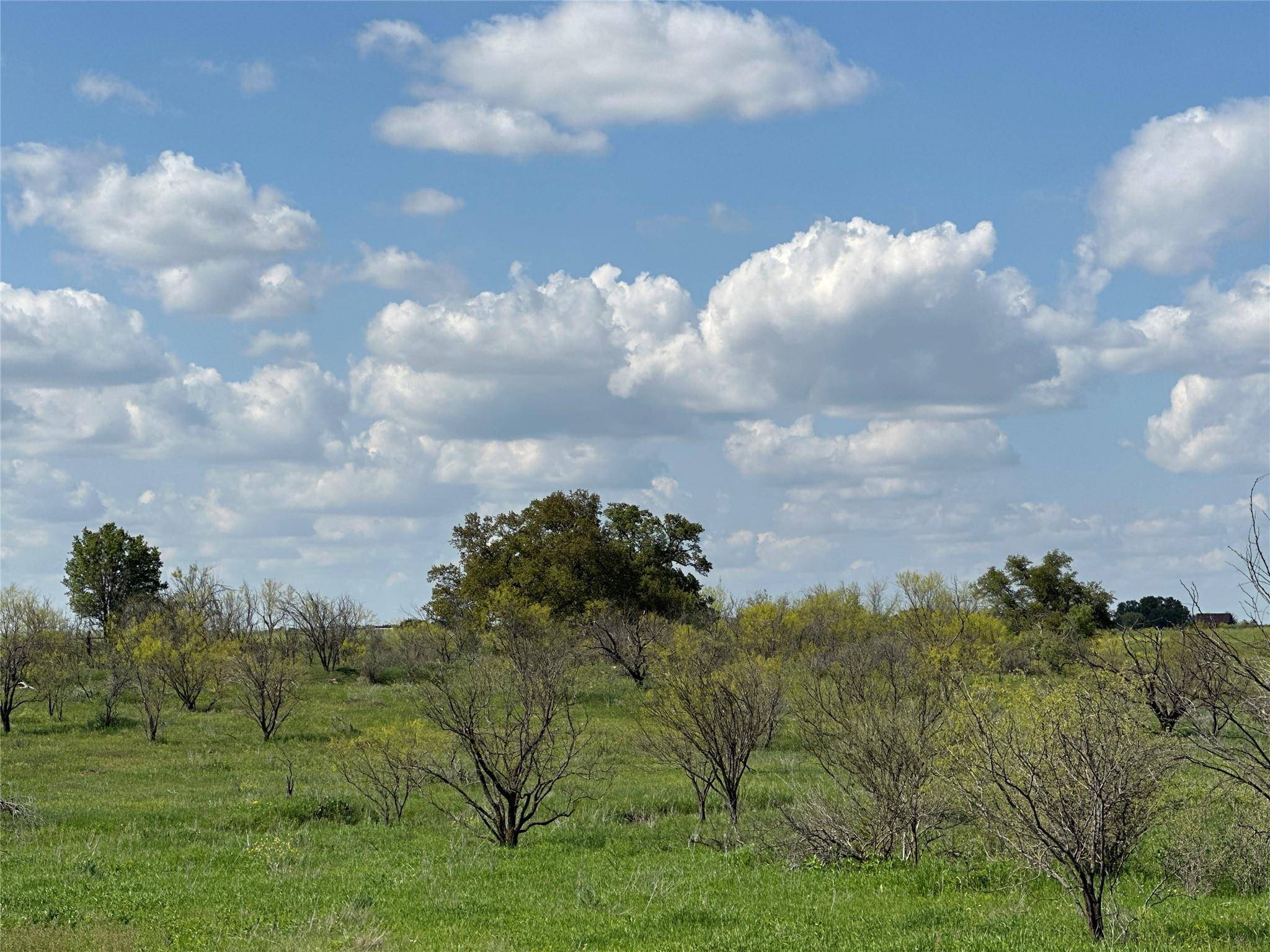 Cross Plains, TX 76443,TBD Fm 2287