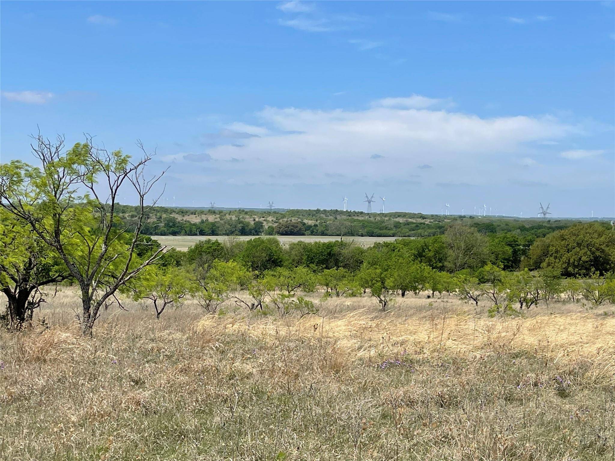 Comanche, TX 76442,TBD Greenwood Road