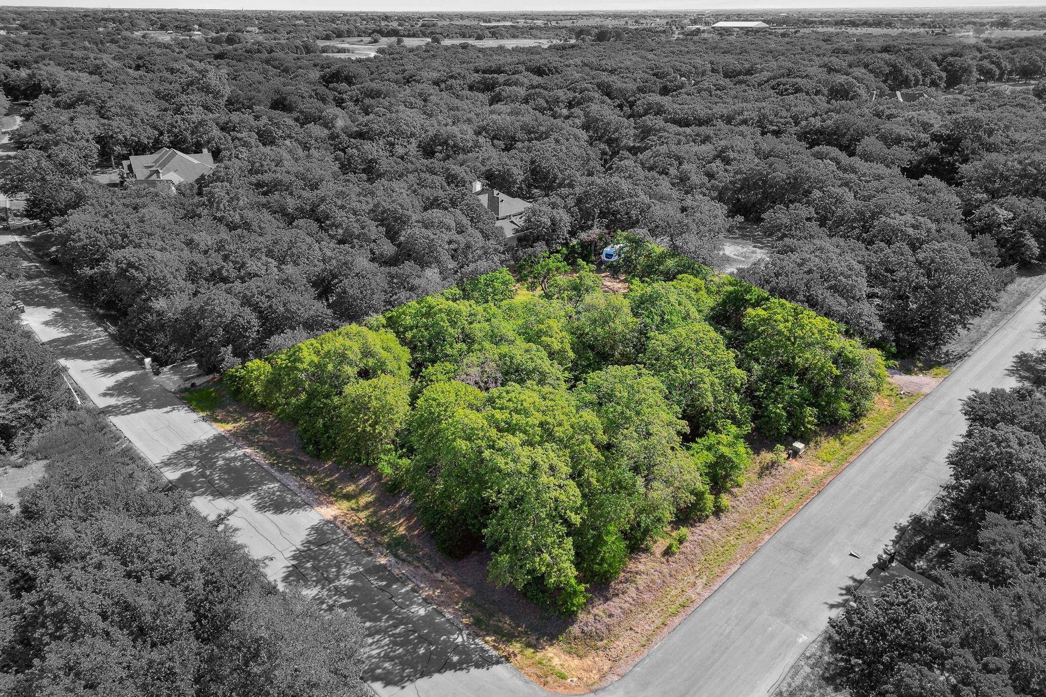 Oak Point, TX 75068,TBD Majestic Oaks Drive