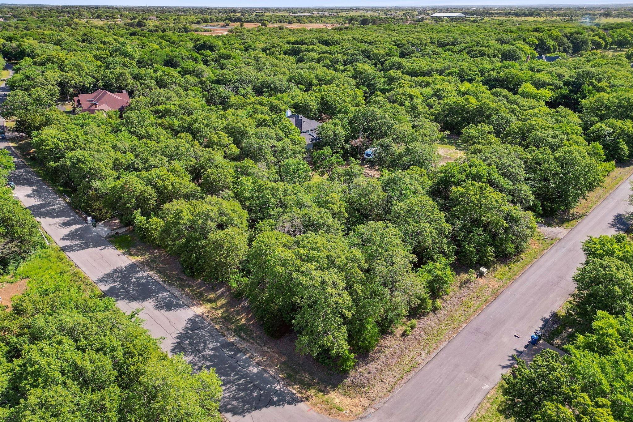 Oak Point, TX 75068,TBD Majestic Oaks Drive