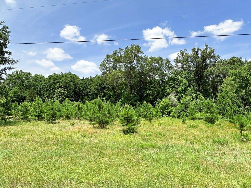 Murchison, TX 75778,Lot 28 Lee Road