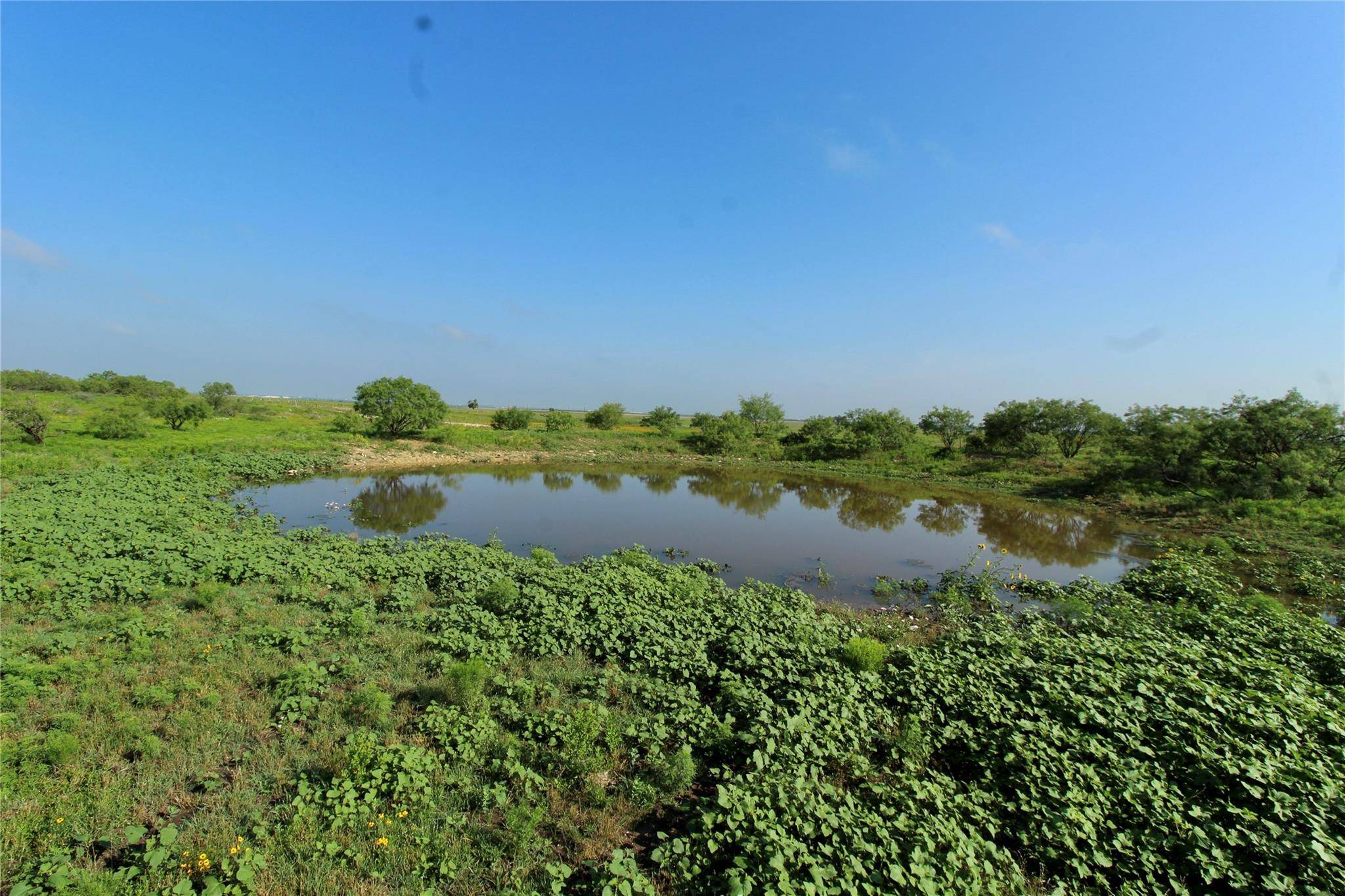 Clyde, TX 79510,TBD County road 209