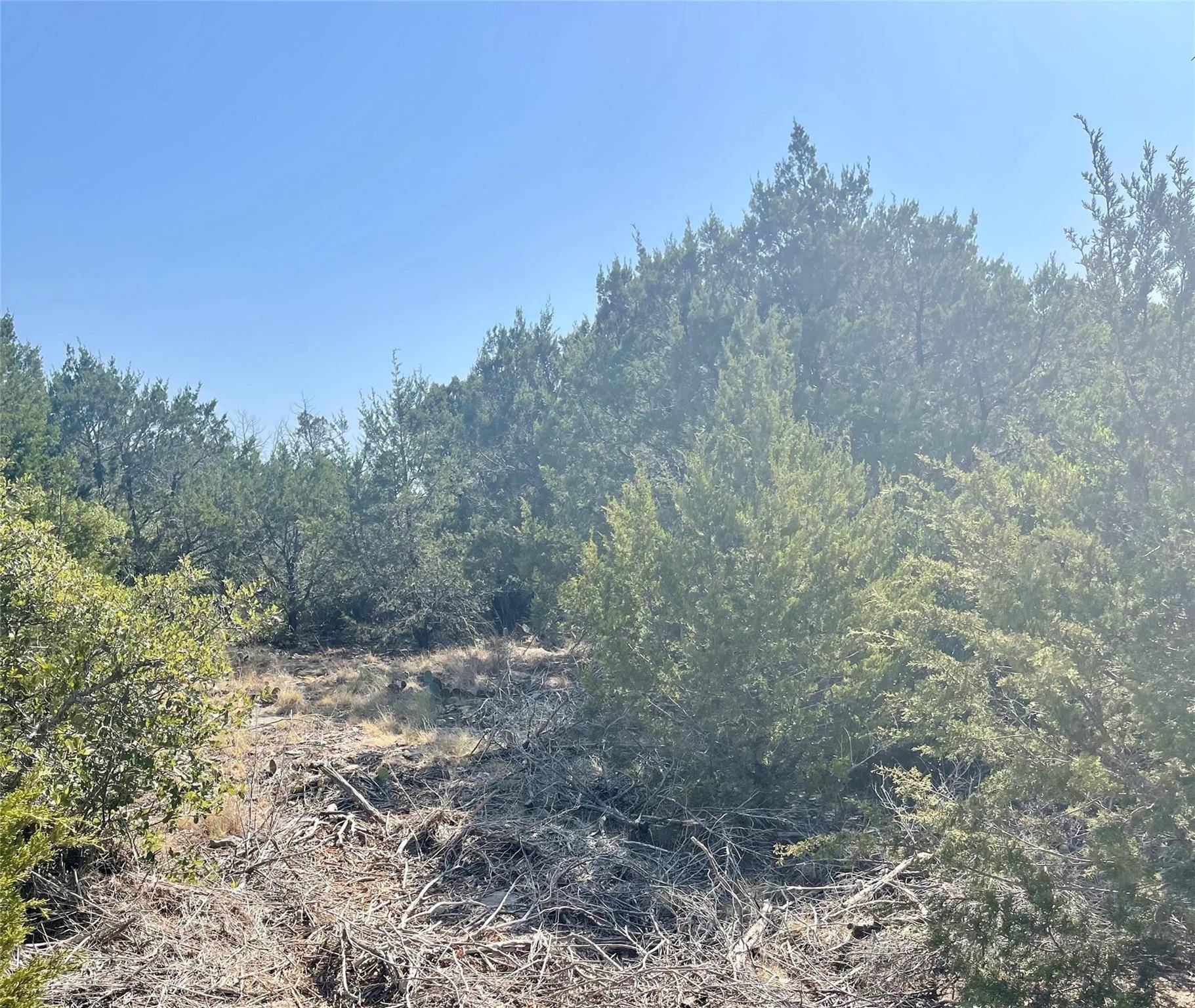 Possum Kingdom Lake, TX 76449,Lot227 Oak Tree Drive