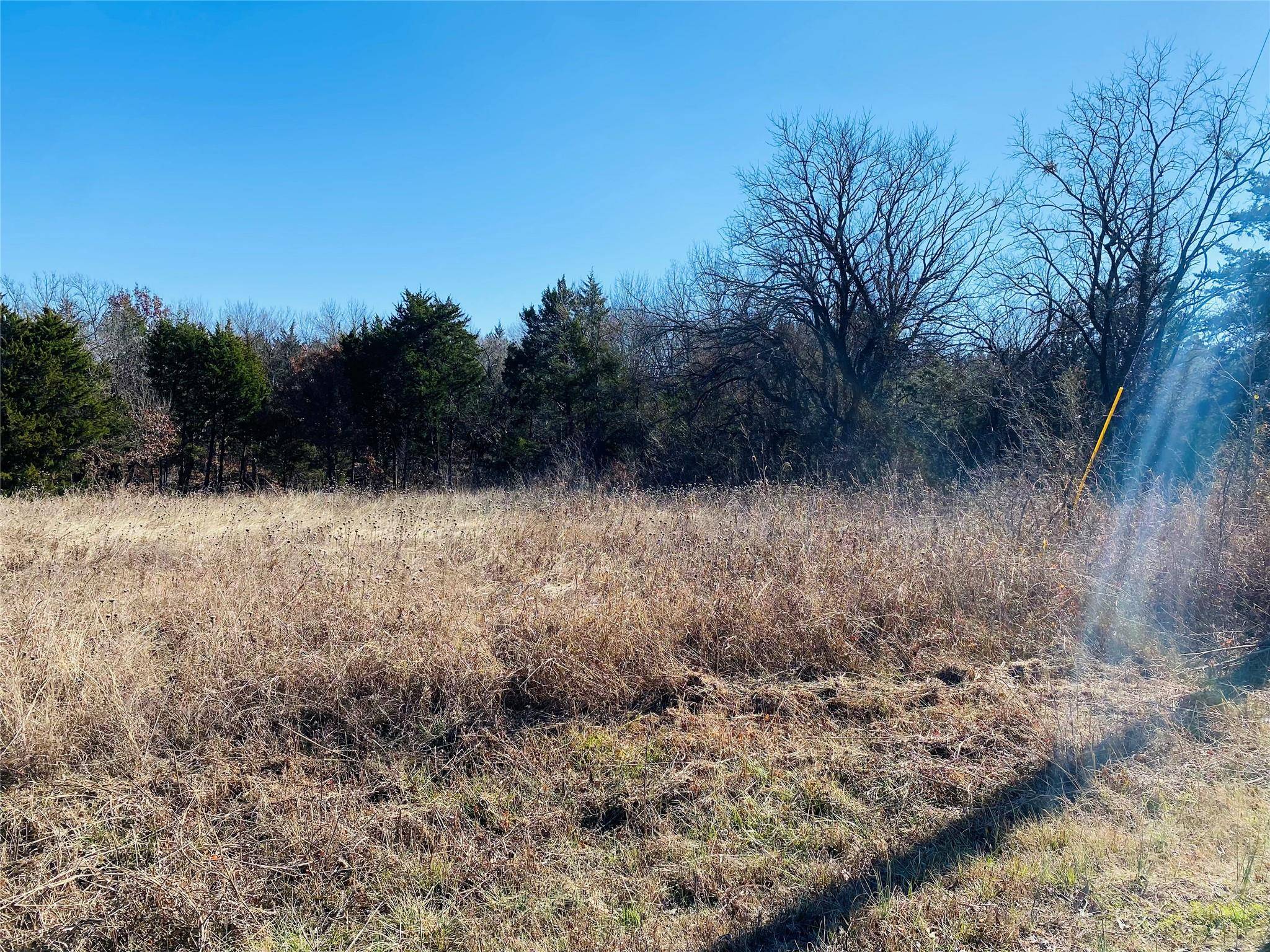 Tom Bean, TX 75090,TBD Old Ida Road