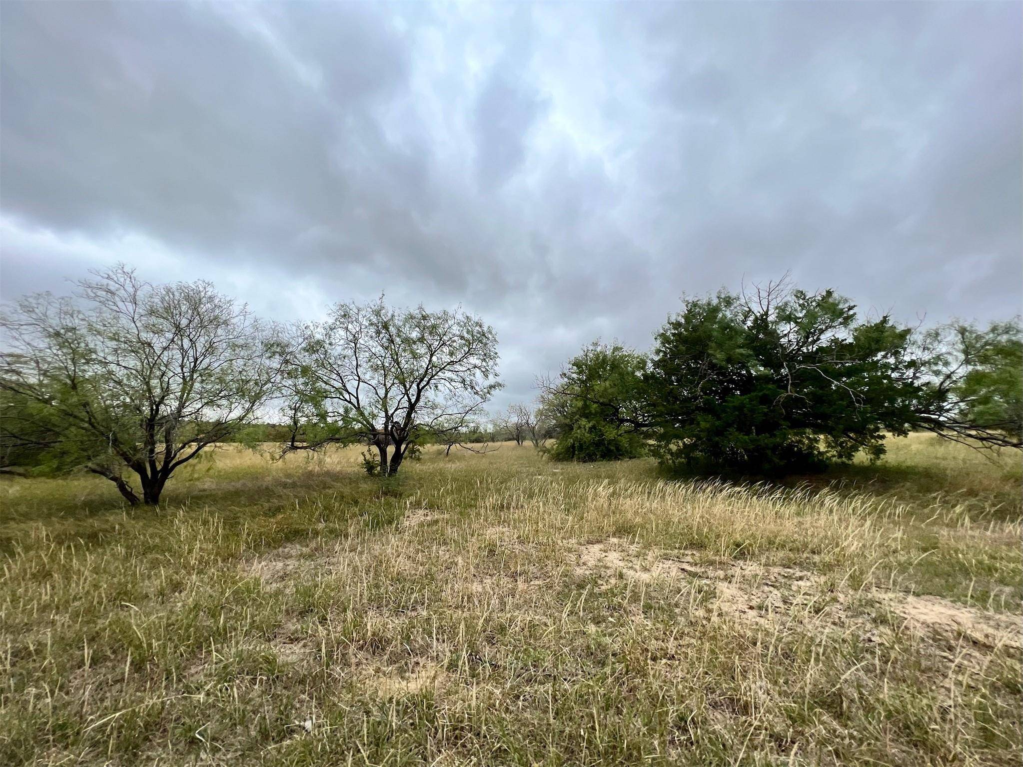 Hubbard, TX 76648,TBD HCR 3350 N #TR. 19