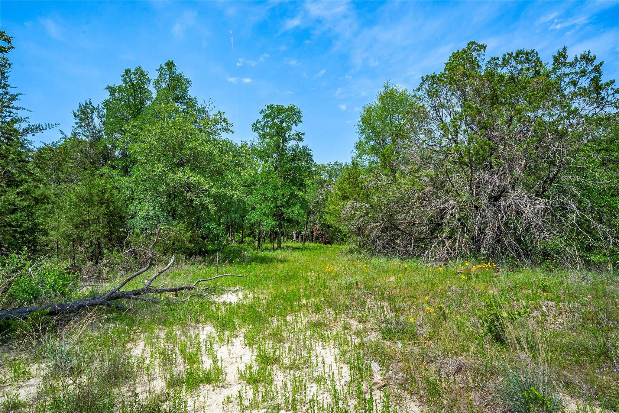 Brock, TX 76087,2044 Little Valley Court