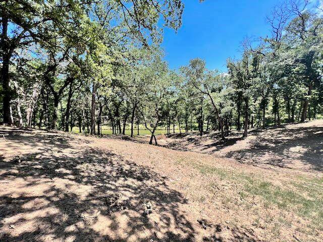 Streetman, TX 75859,Lot 13 Pelican Point