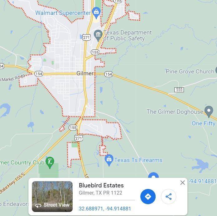 Gilmer, TX 75645,TBD Bluebird Road