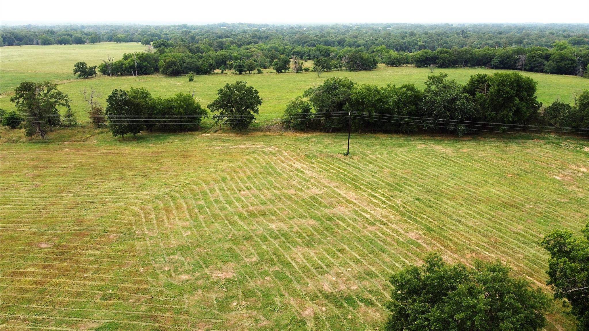 Yantis, TX 75497,Lot 7 FM514 Road