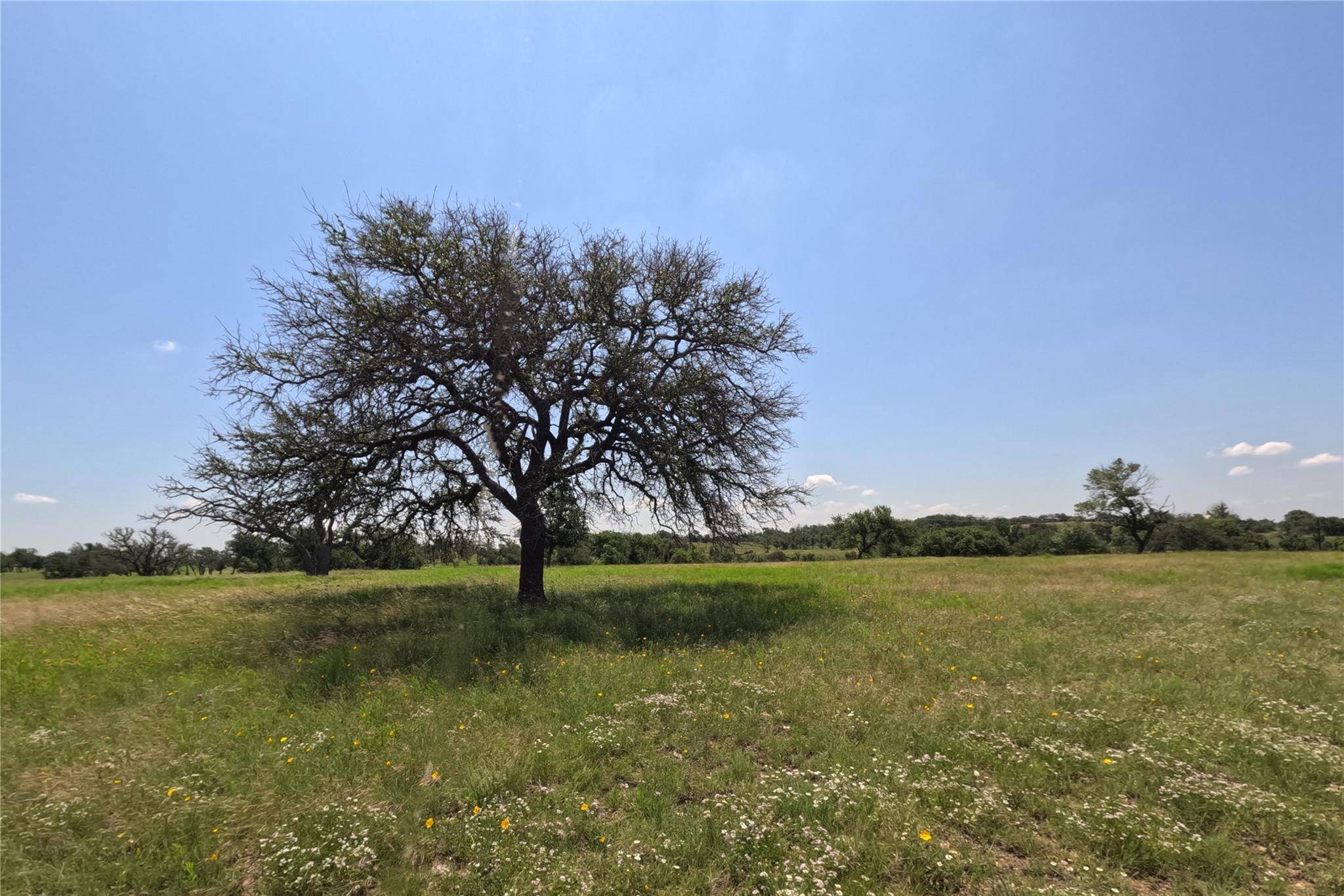 No City, TX 76880,000000 County Road 512