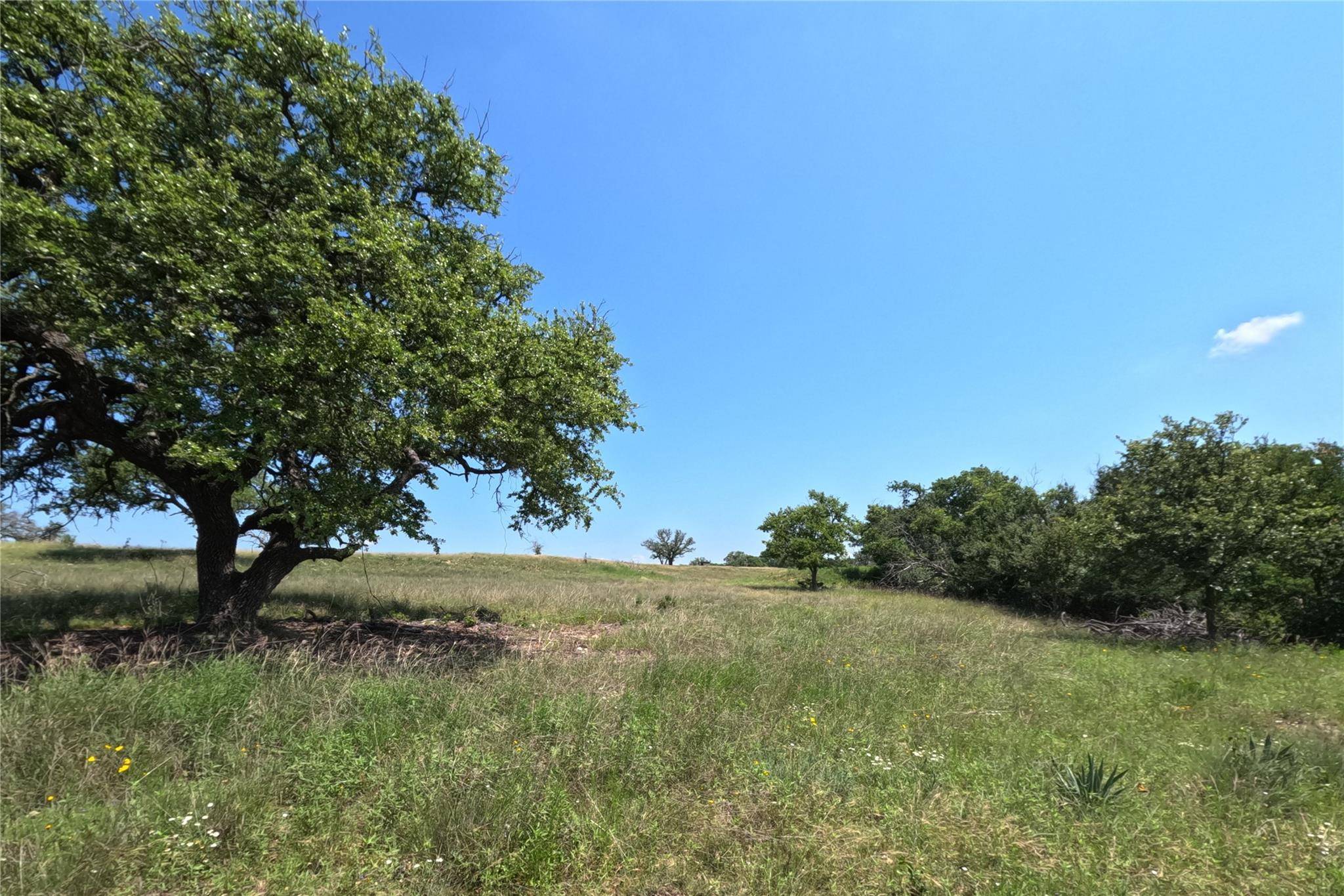 No City, TX 76880,000000 County Road 512